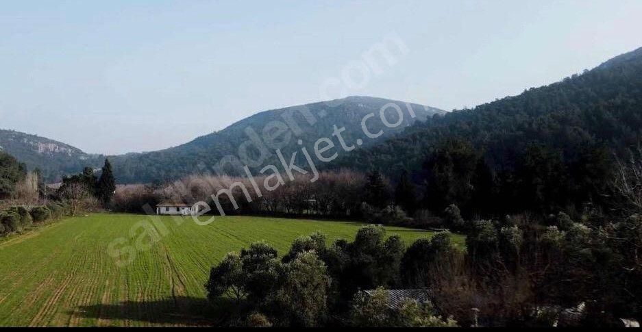 Turpa Otuzbeş'ten Eşsiz Güzellikte Eksiksiz Tek Tapu Arsa - Görsel 3