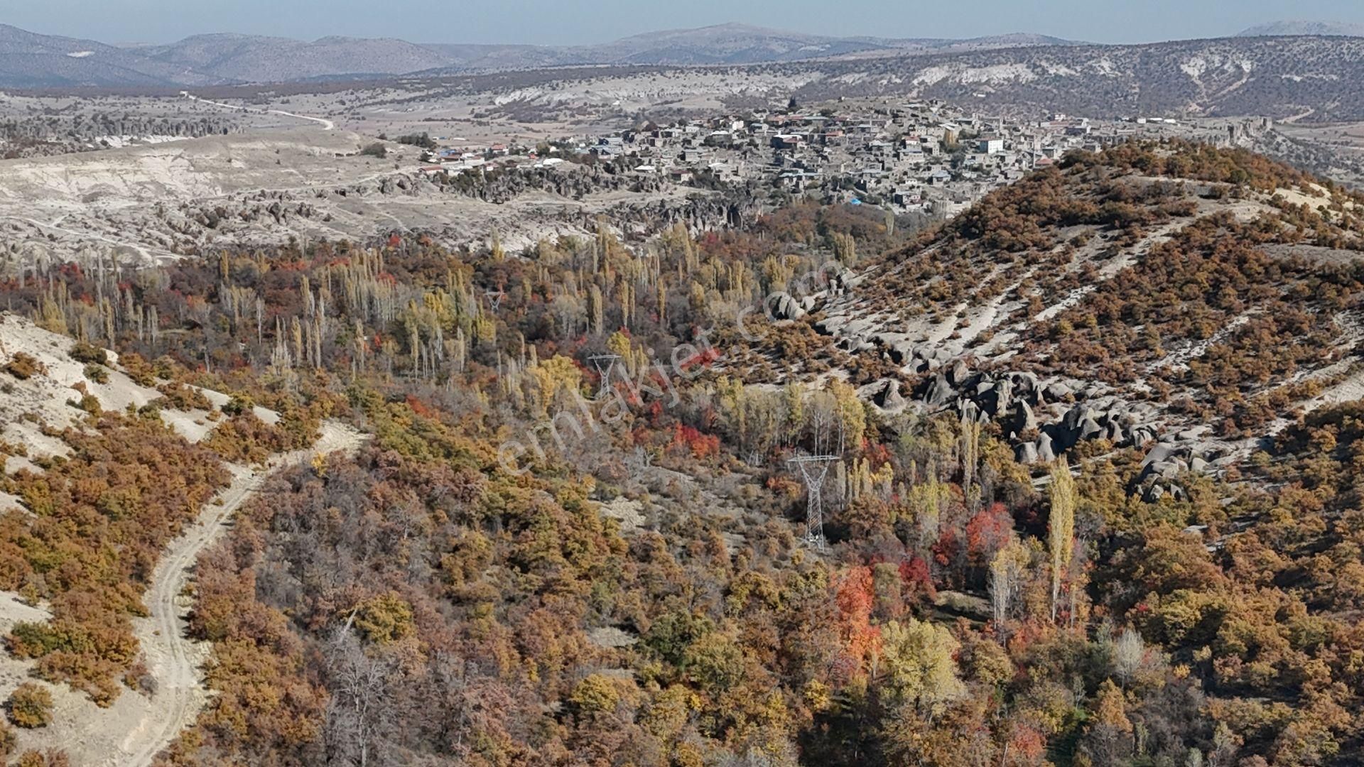 Konya / Meram / Kilistra Mahallesinde 1.010 M² Müstakil Tapulu Bahçe - Görsel 8