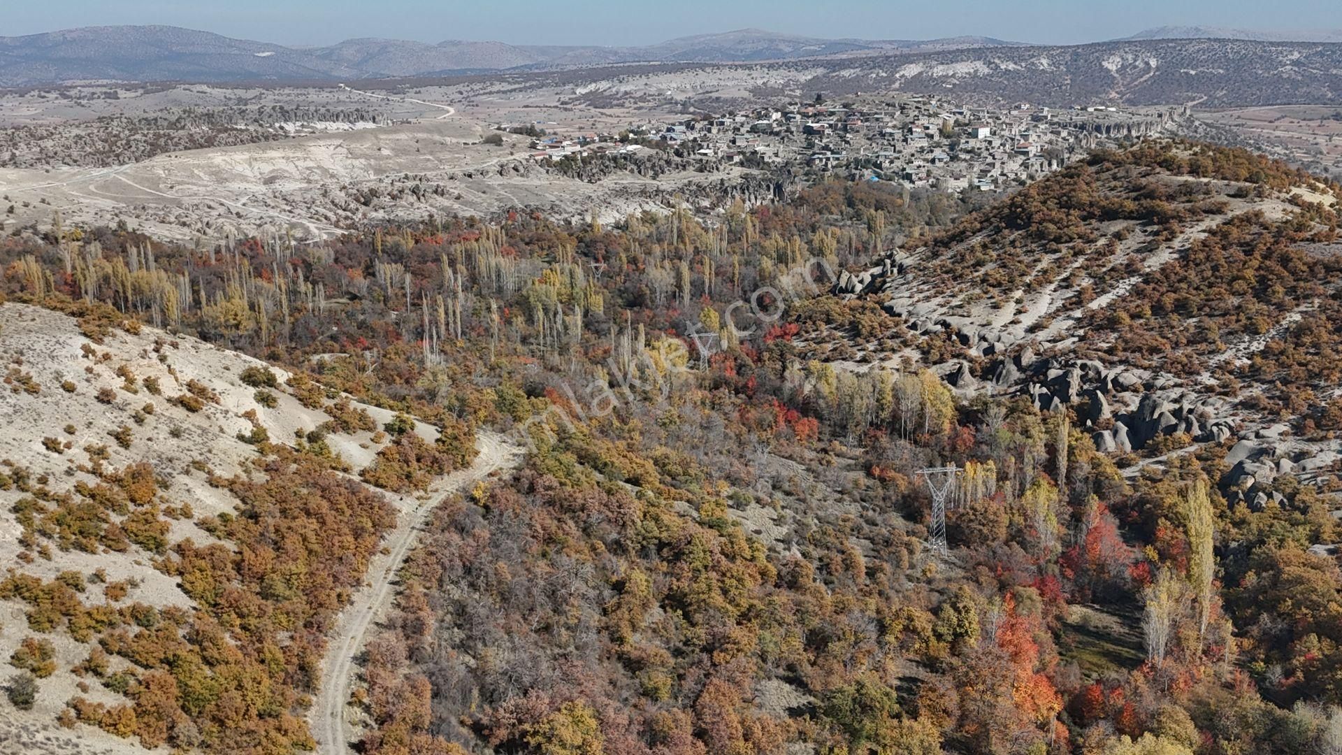 Konya / Meram / Kilistra Mahallesinde 1.010 M² Müstakil Tapulu Bahçe - Görsel 2