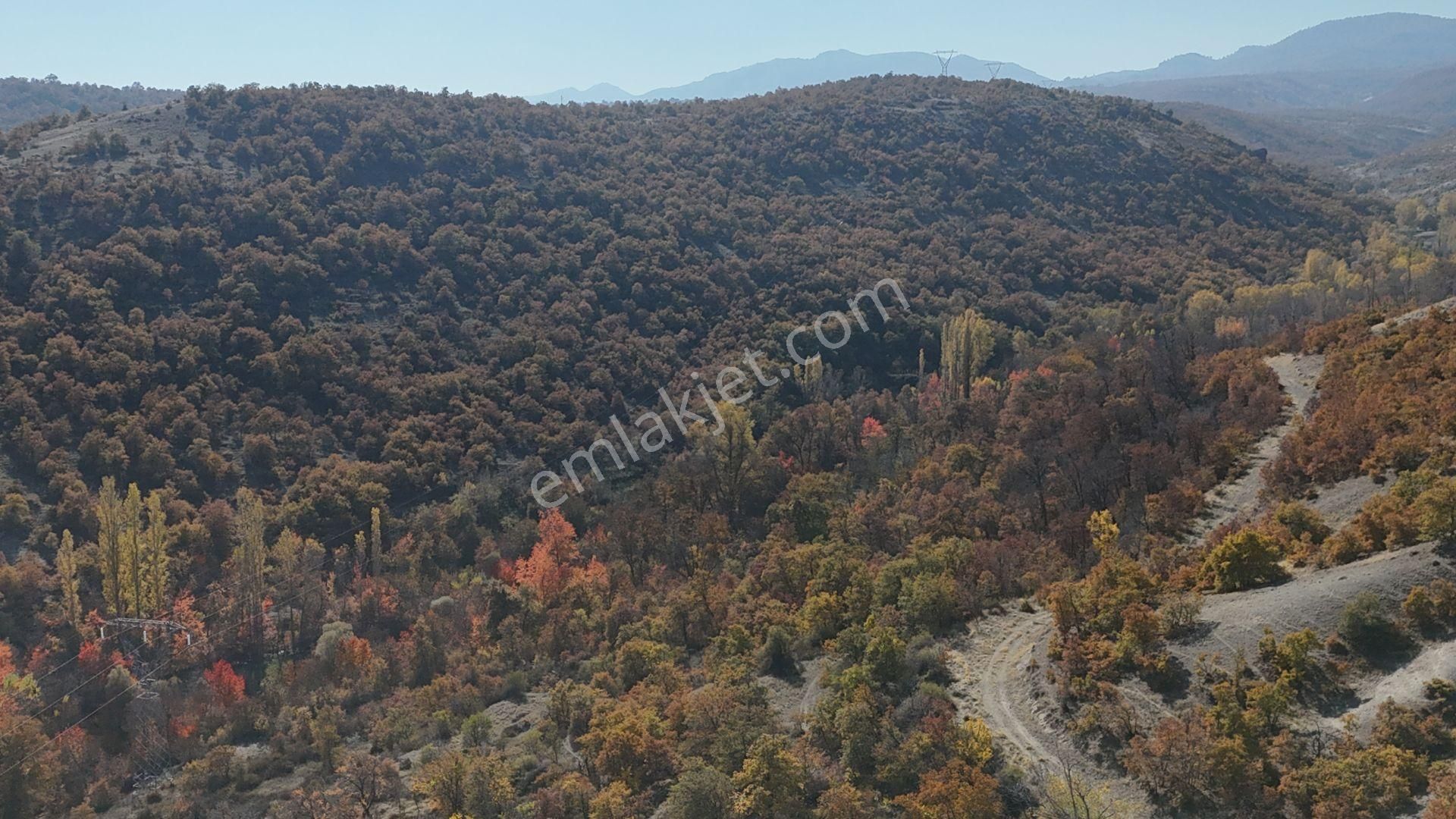 Konya / Meram / Kilistra Mahallesinde 1.010 M² Müstakil Tapulu Bahçe - Görsel 5