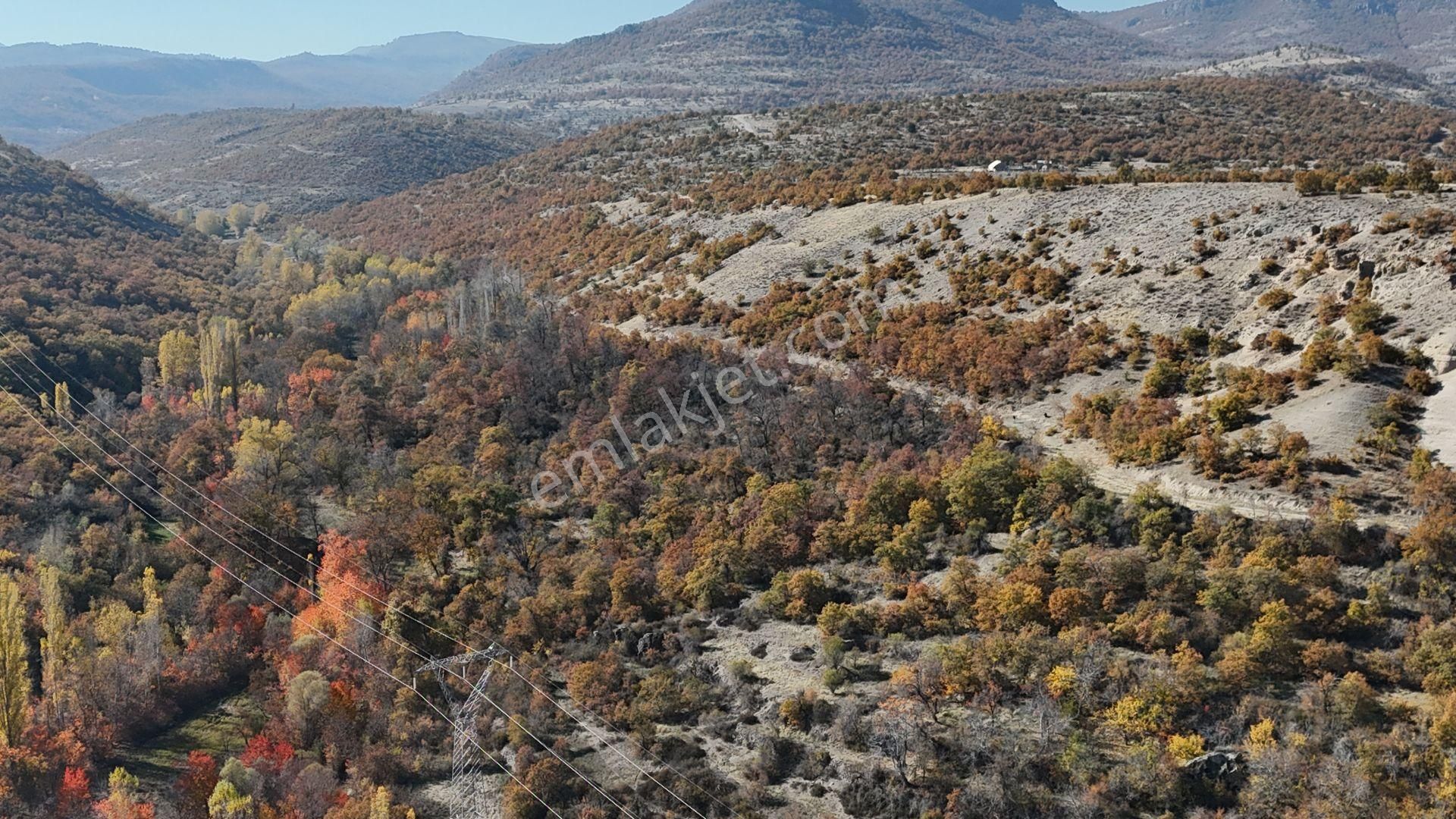 Konya / Meram / Kilistra Mahallesinde 1.010 M² Müstakil Tapulu Bahçe - Görsel 4