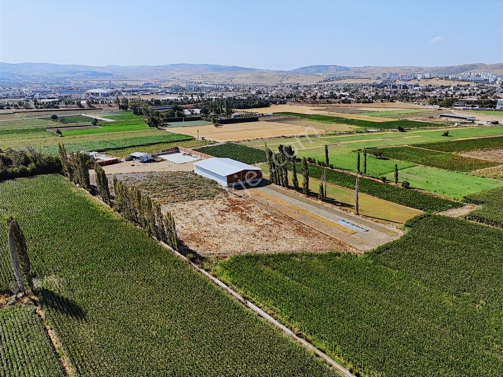 Kiralık 915 M² Depo, 12.000m² Açık Alan, 97 M² 1+1 Ofis - Görsel 14