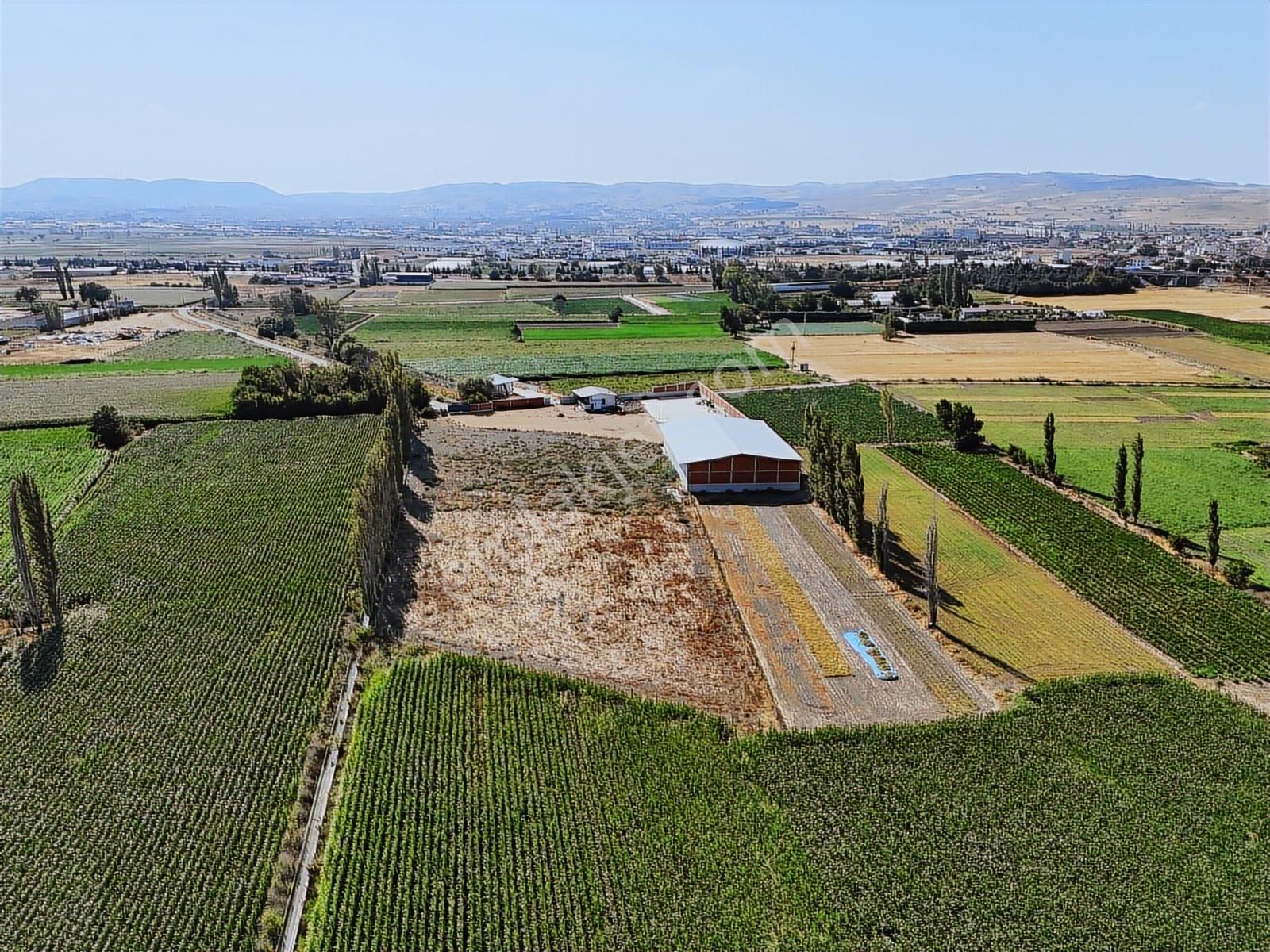 Kiralık 915 M² Depo, 12.000m² Açık Alan, 97 M² 1+1 Ofis - Görsel 2