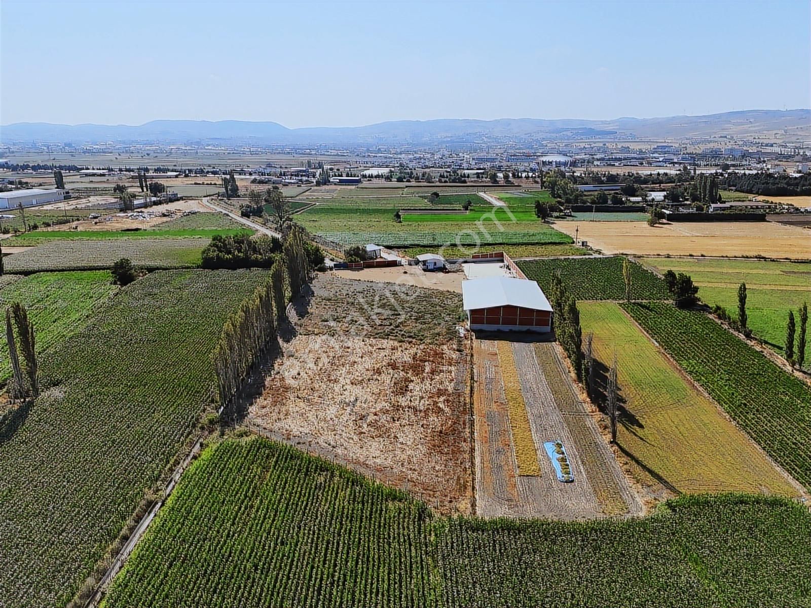 Kiralık 915 M² Depo, 12.000m² Açık Alan, 97 M² 1+1 Ofis - Görsel 6