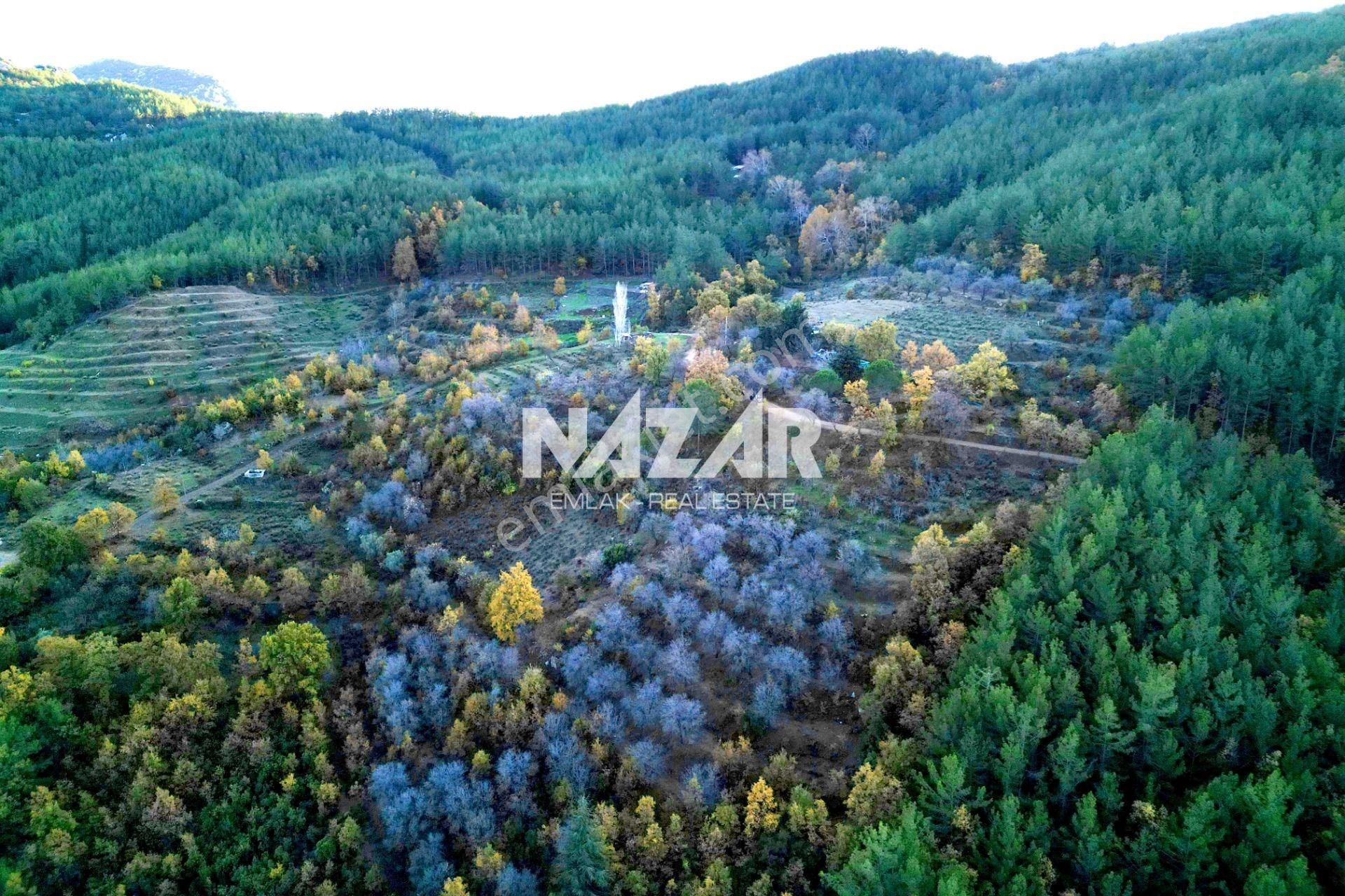 Gazipaşa Çile’de Satılık 37.085 M² Tarla Ve Taş Ev