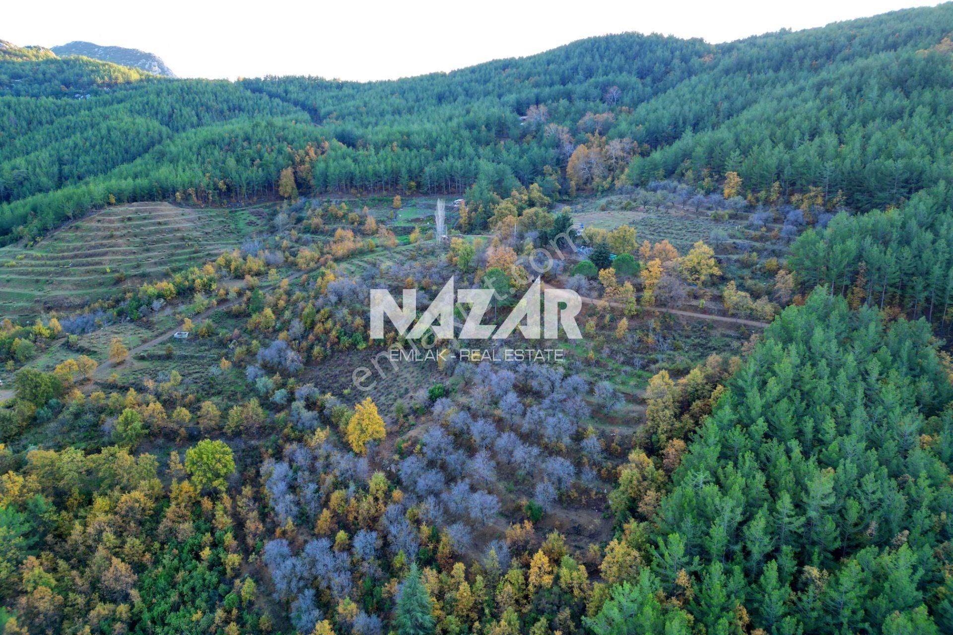 Gazipaşa Çile’de Satılık 37.085 M² Tarla Ve Taş Ev - Görsel 10