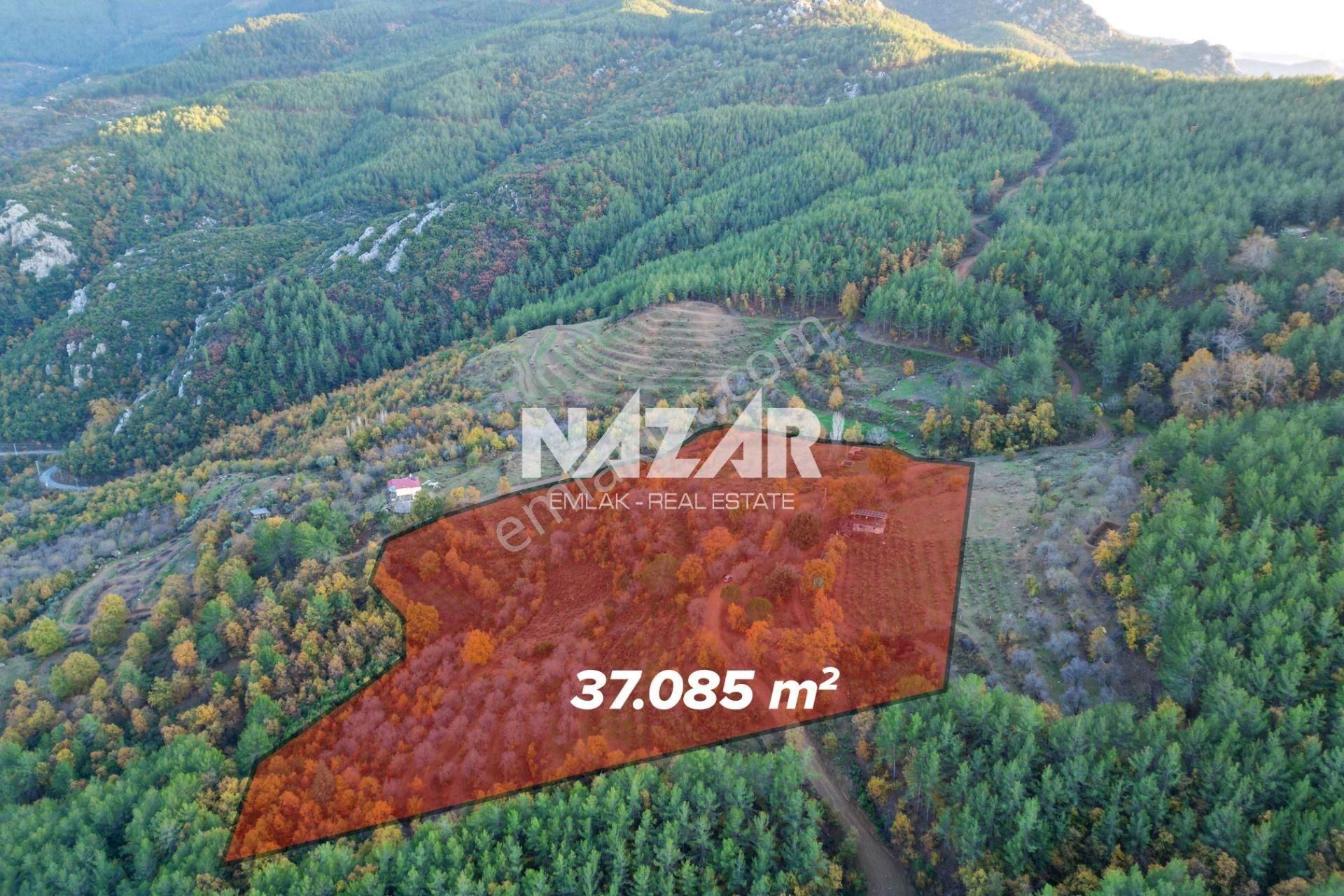 Gazipaşa Çile’de Satılık 37.085 M² Tarla Ve Taş Ev - Görsel 4