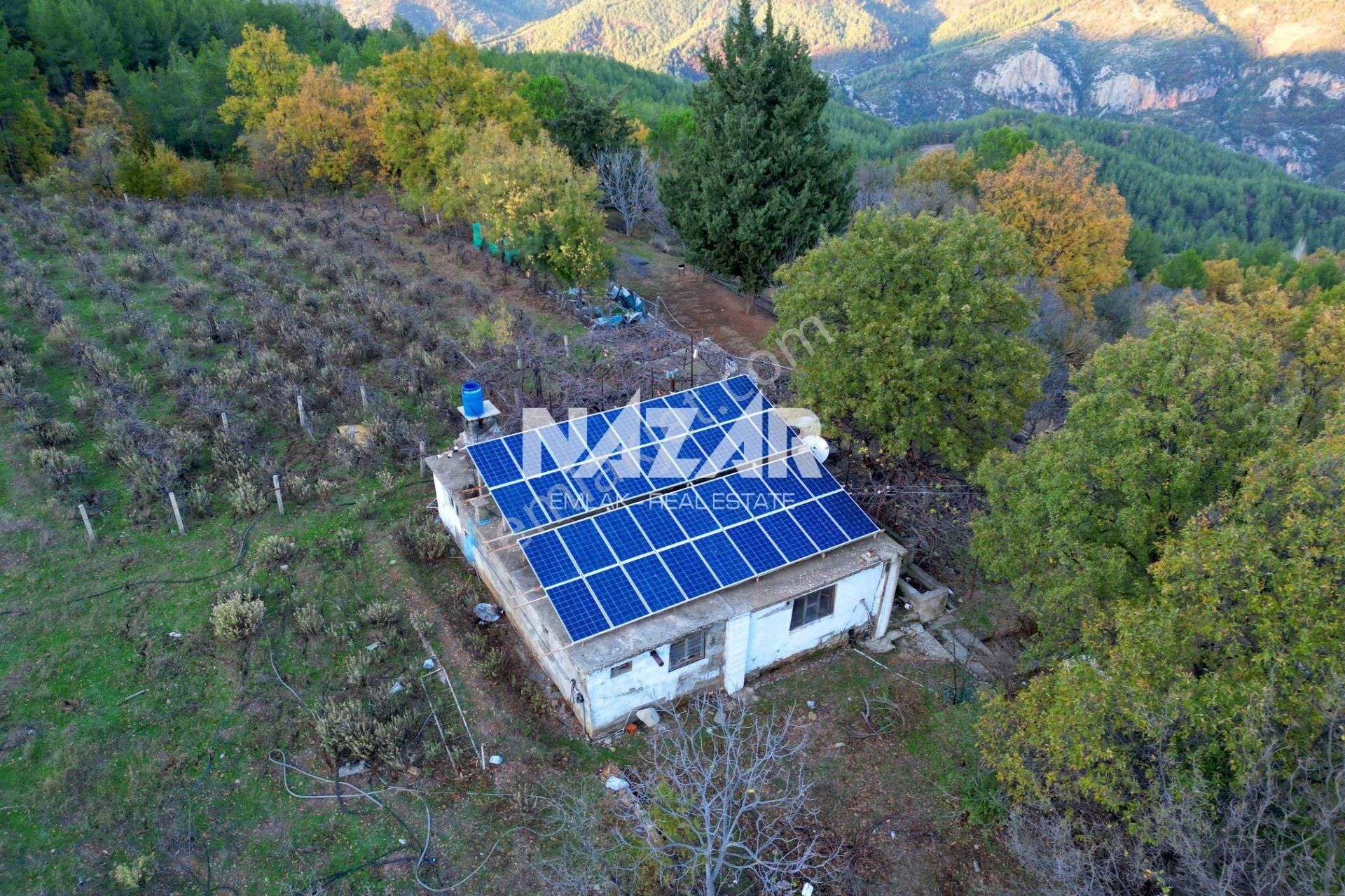 Gazipaşa Çile’de Satılık 37.085 M² Tarla Ve Taş Ev - Görsel 12
