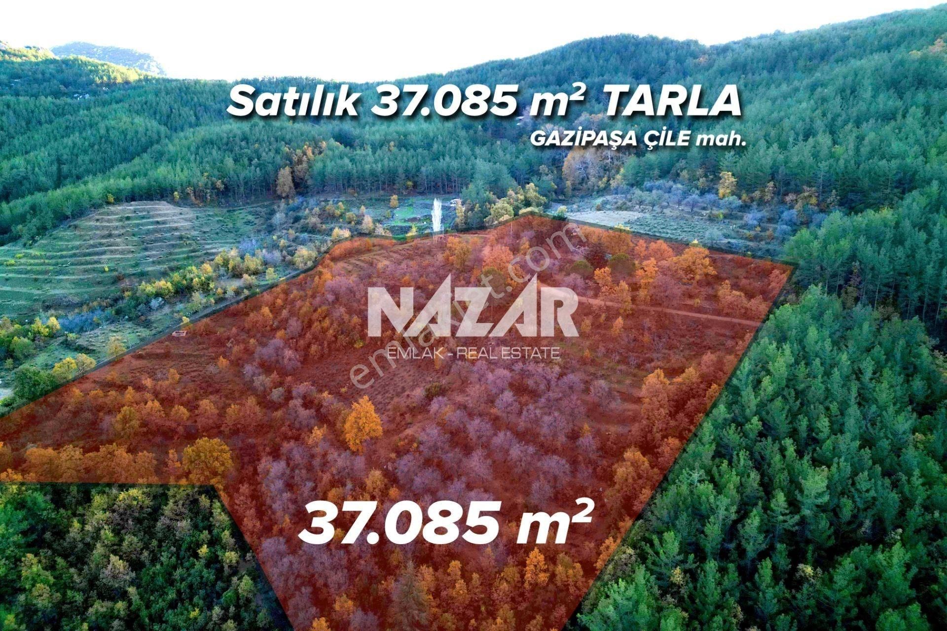 Gazipaşa Çile’de Satılık 37.085 M² Tarla Ve Taş Ev - Görsel 2