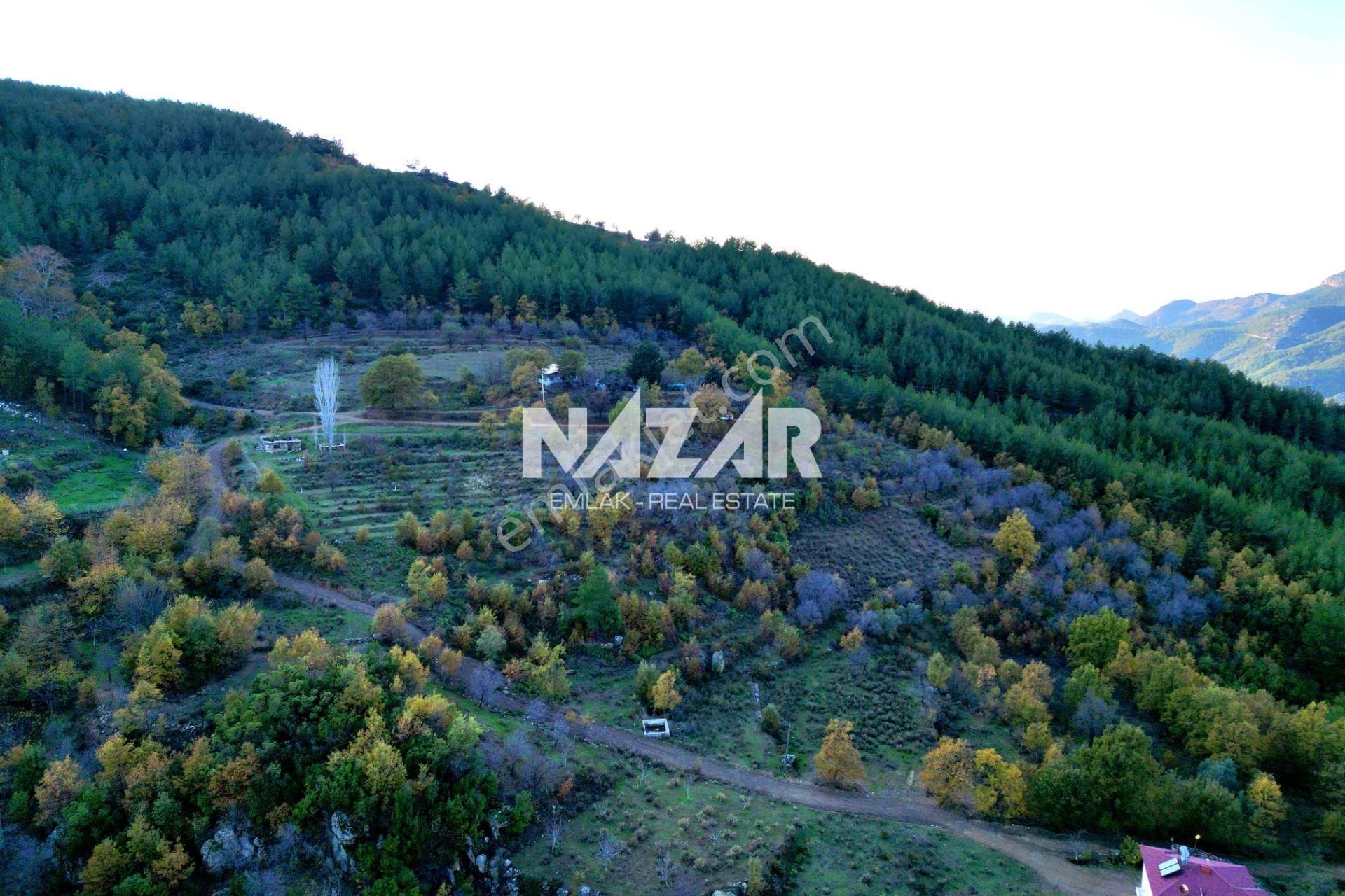 Gazipaşa Çile’de Satılık 37.085 M² Tarla Ve Taş Ev - Görsel 7