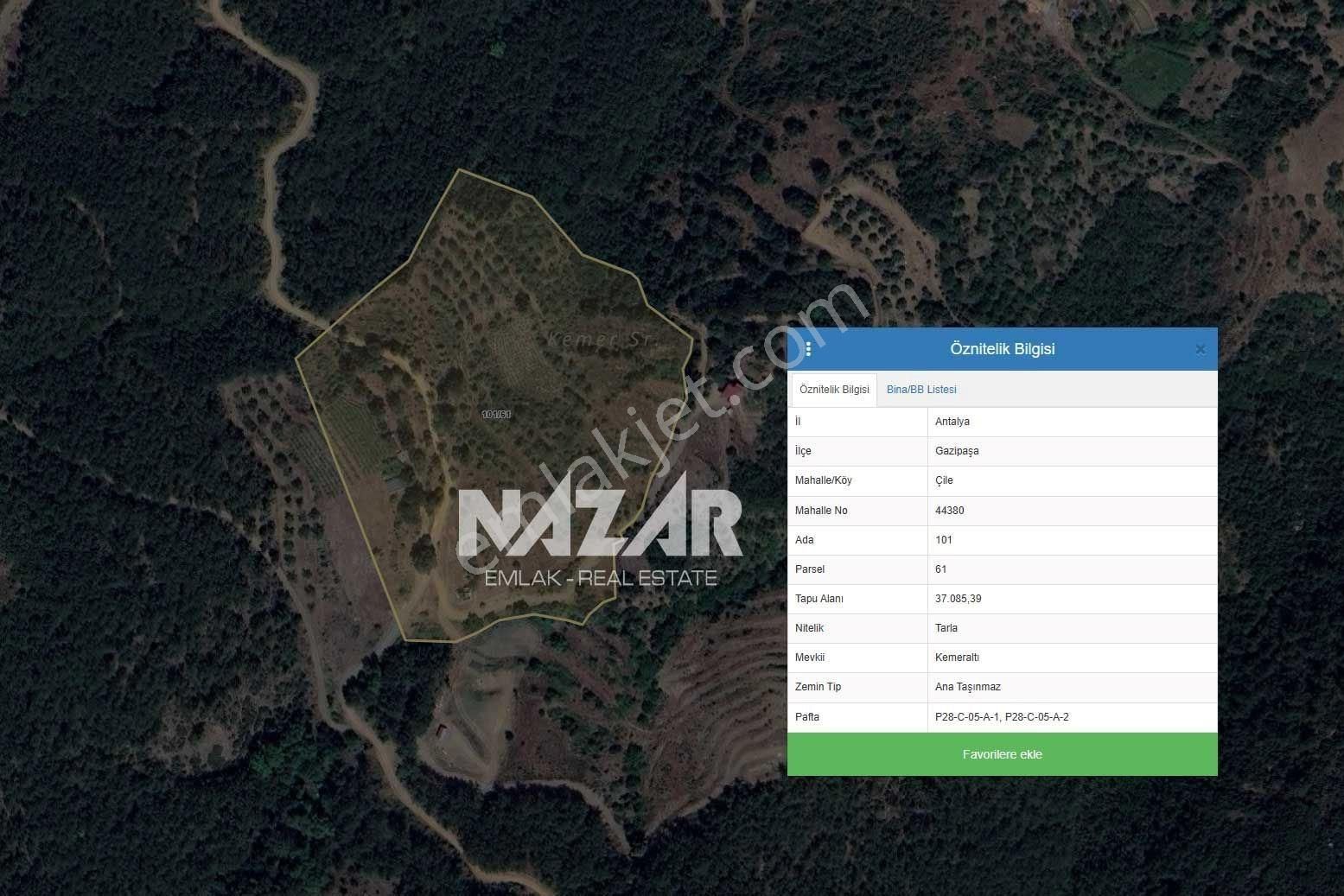 Gazipaşa Çile’de Satılık 37.085 M² Tarla Ve Taş Ev - Görsel 18