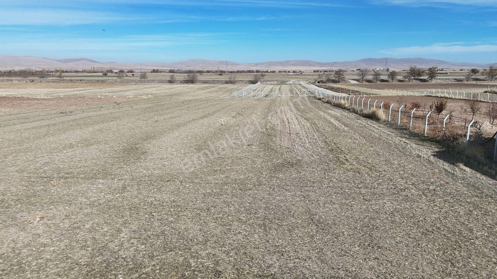 Konya / Meram / Hatunsaray Mahallesinde 259 M² Hisse Tapulu Tarla - Görsel 9