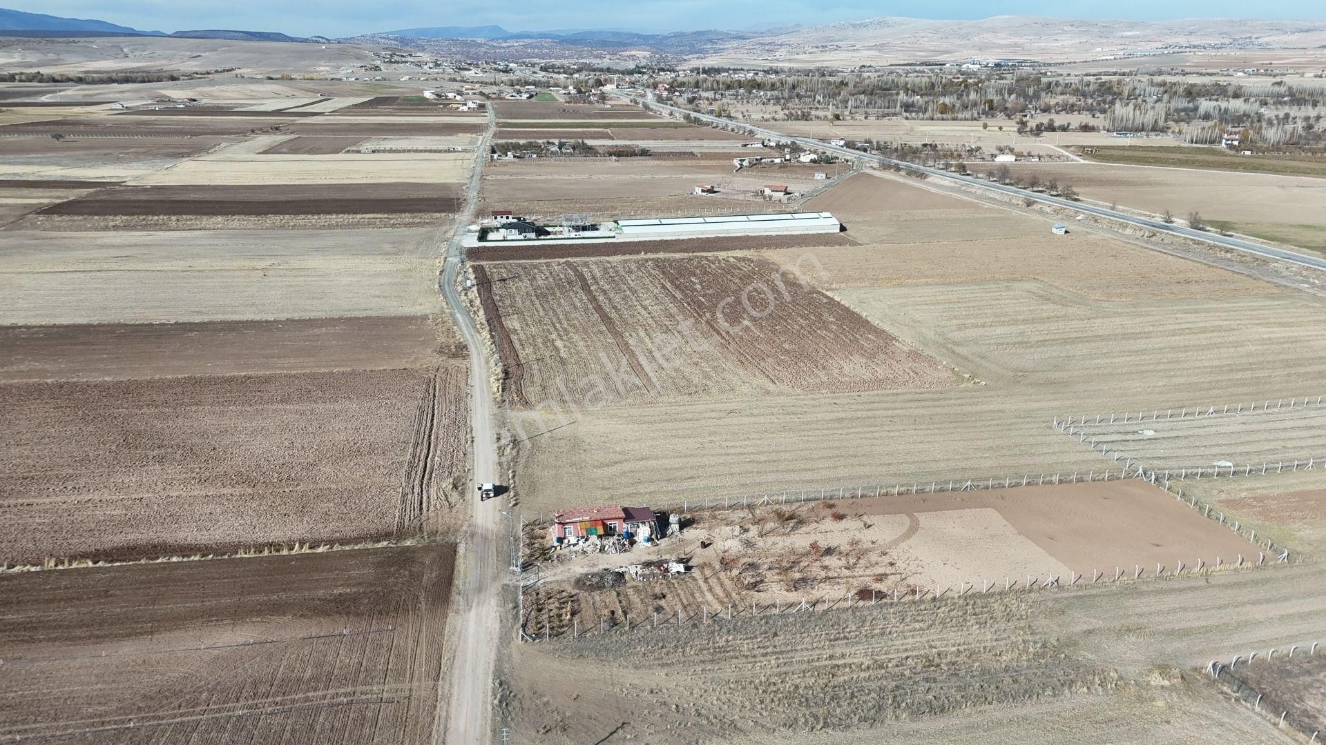 Konya / Meram / Hatunsaray Mahallesinde 259 M² Hisse Tapulu Tarla - Görsel 2