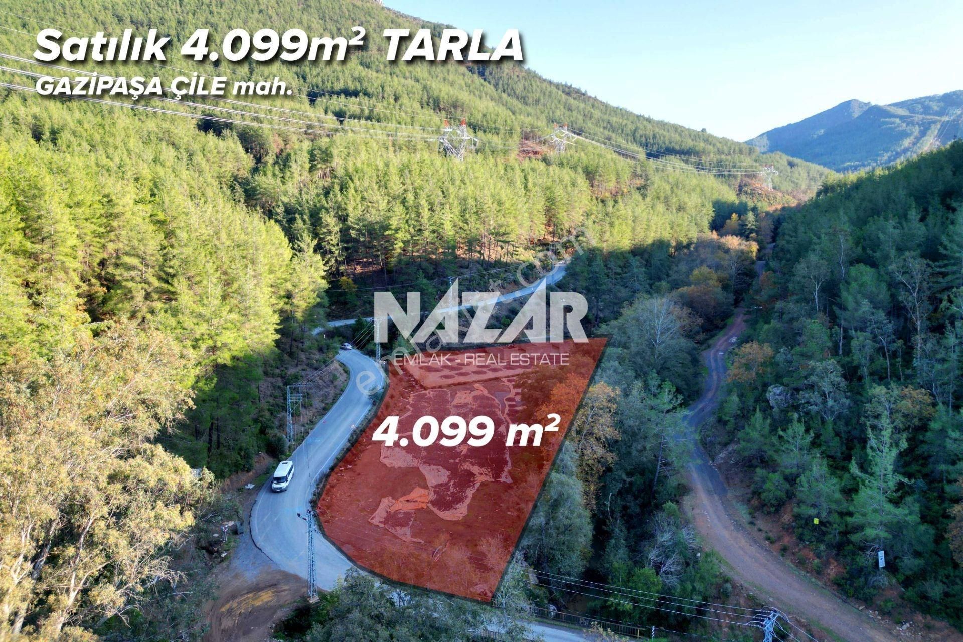 Gazipaşa Çile’de Satılık 4.099 M² Tarla Ve İnşaat - Görsel 2