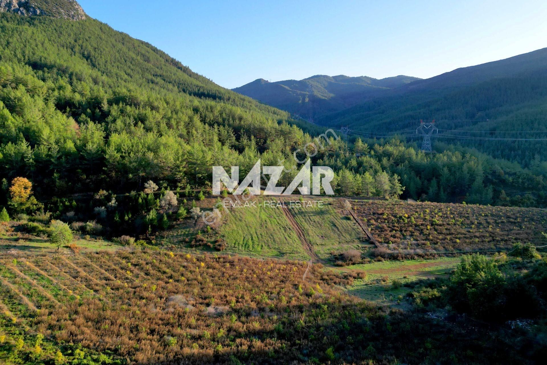 Gazipaşa Çile’de Satılık 20.385 M² Tarla Ve 2+1 Konteyner - Görsel 11