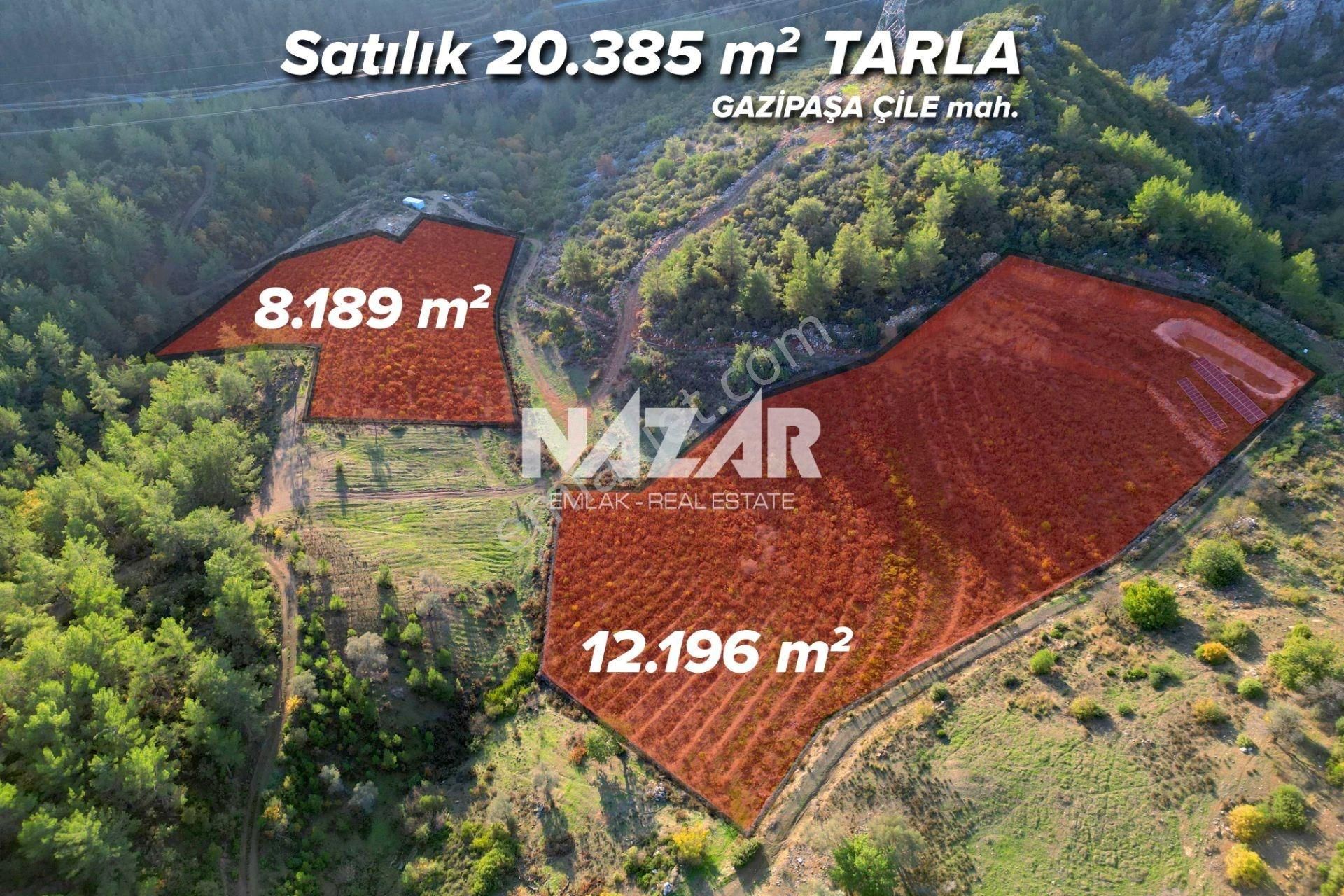 Gazipaşa Çile’de Satılık 20.385 M² Tarla Ve 2+1 Konteyner - Görsel 2
