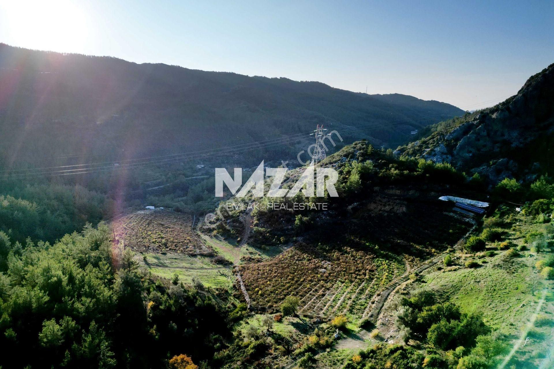 Gazipaşa Çile’de Satılık 20.385 M² Tarla Ve 2+1 Konteyner - Görsel 9