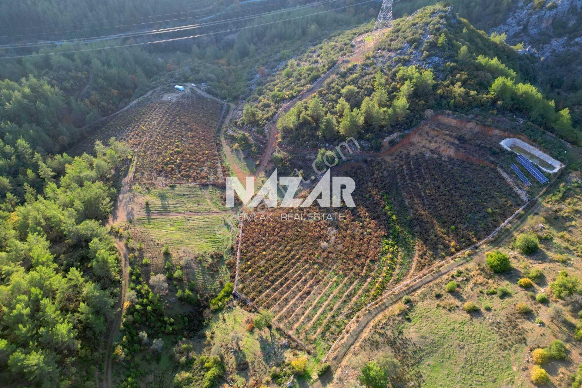 Gazipaşa Çile’de Satılık 20.385 M² Tarla Ve 2+1 Konteyner