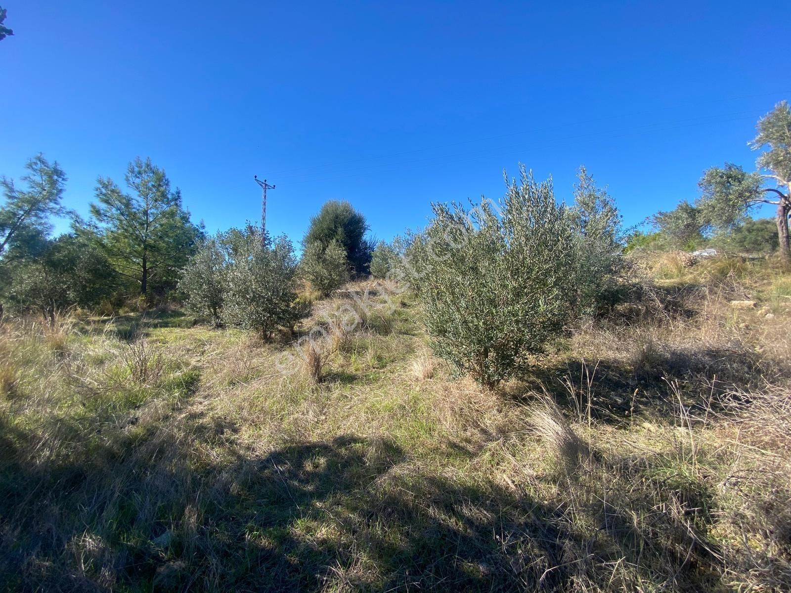 Manavgat Hacıisali Satılık Tek Tapu Tarla - Görsel 5