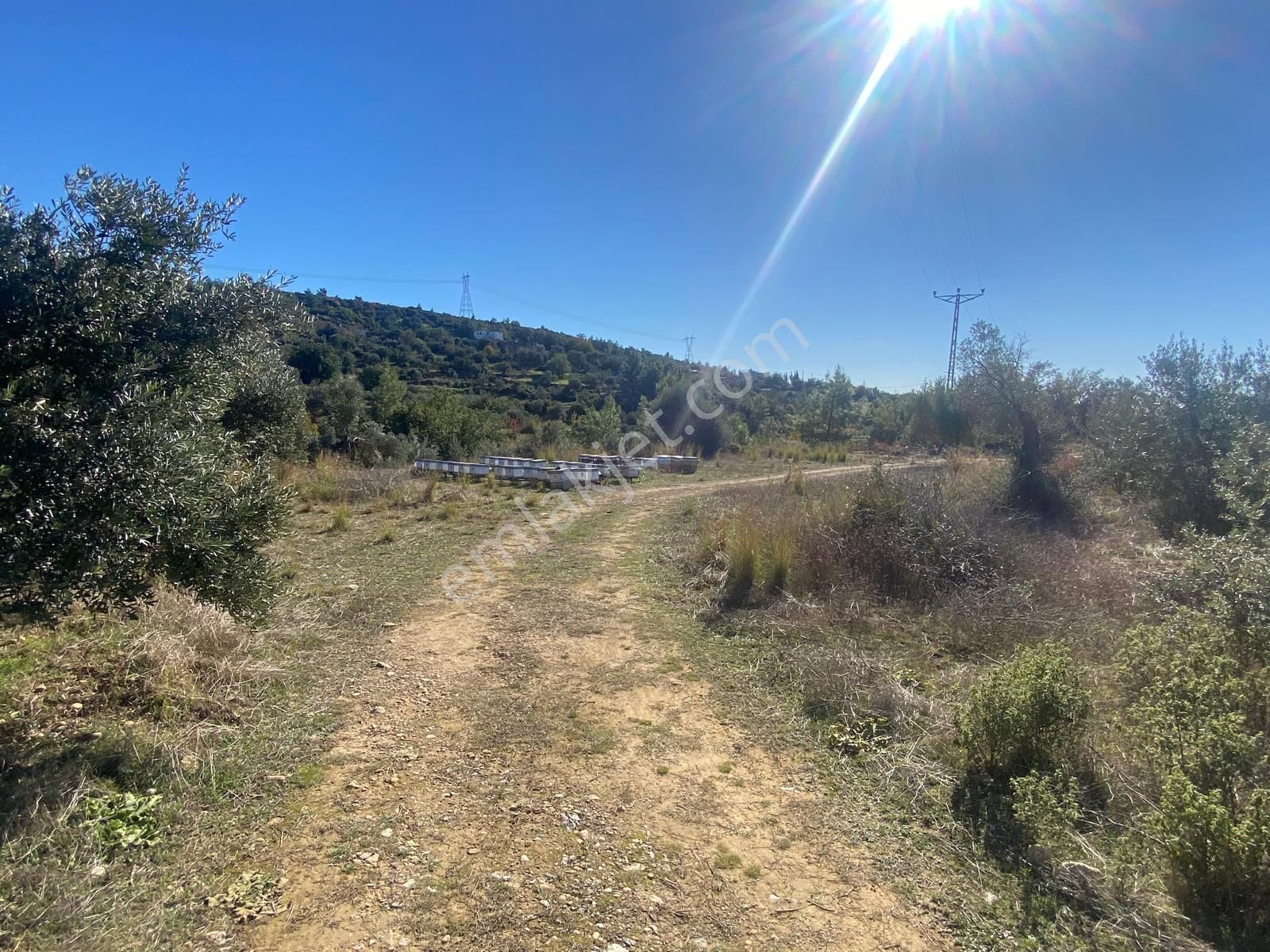 Manavgat Hacıisali Satılık Tek Tapu Tarla - Görsel 7