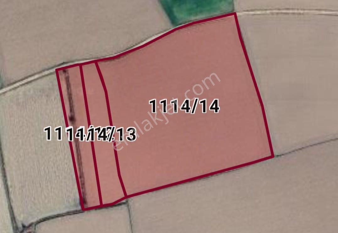 Sümerde Organize Sanayi Altında Verimli Tarla..