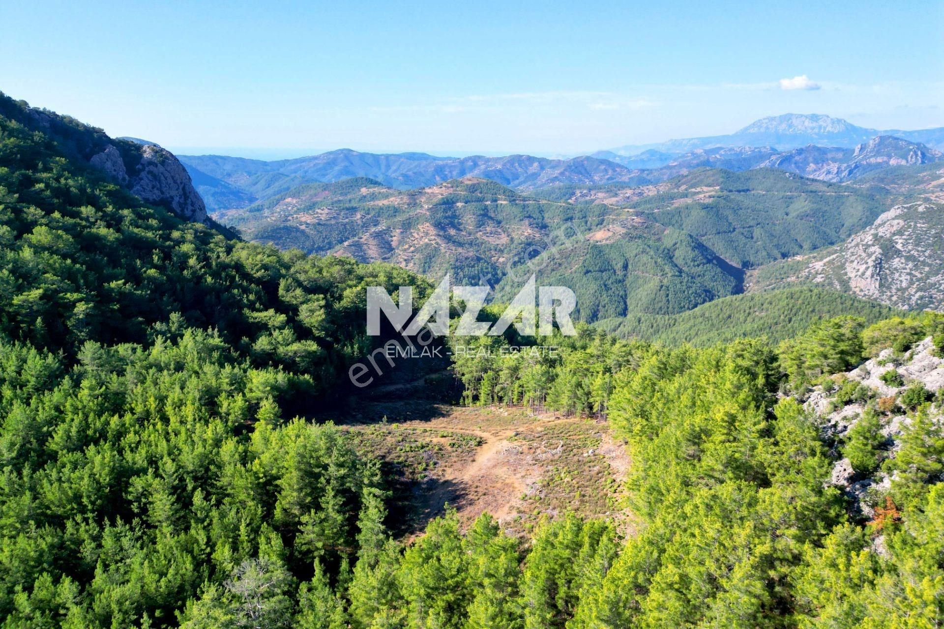 Gazipaşa Ilıca’da Satılık 12.725 M² Deniz Manzaralı Tarla - Görsel 9