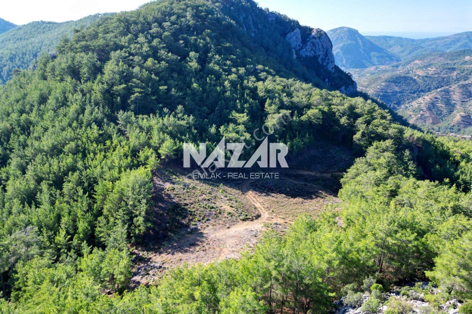 Gazipaşa Ilıca’da Satılık 12.725 M² Deniz Manzaralı Tarla