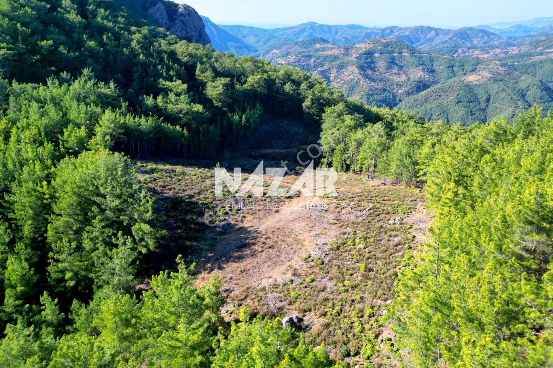 Gazipaşa Ilıca’da Satılık 12.725 M² Deniz Manzaralı Tarla - Görsel 11
