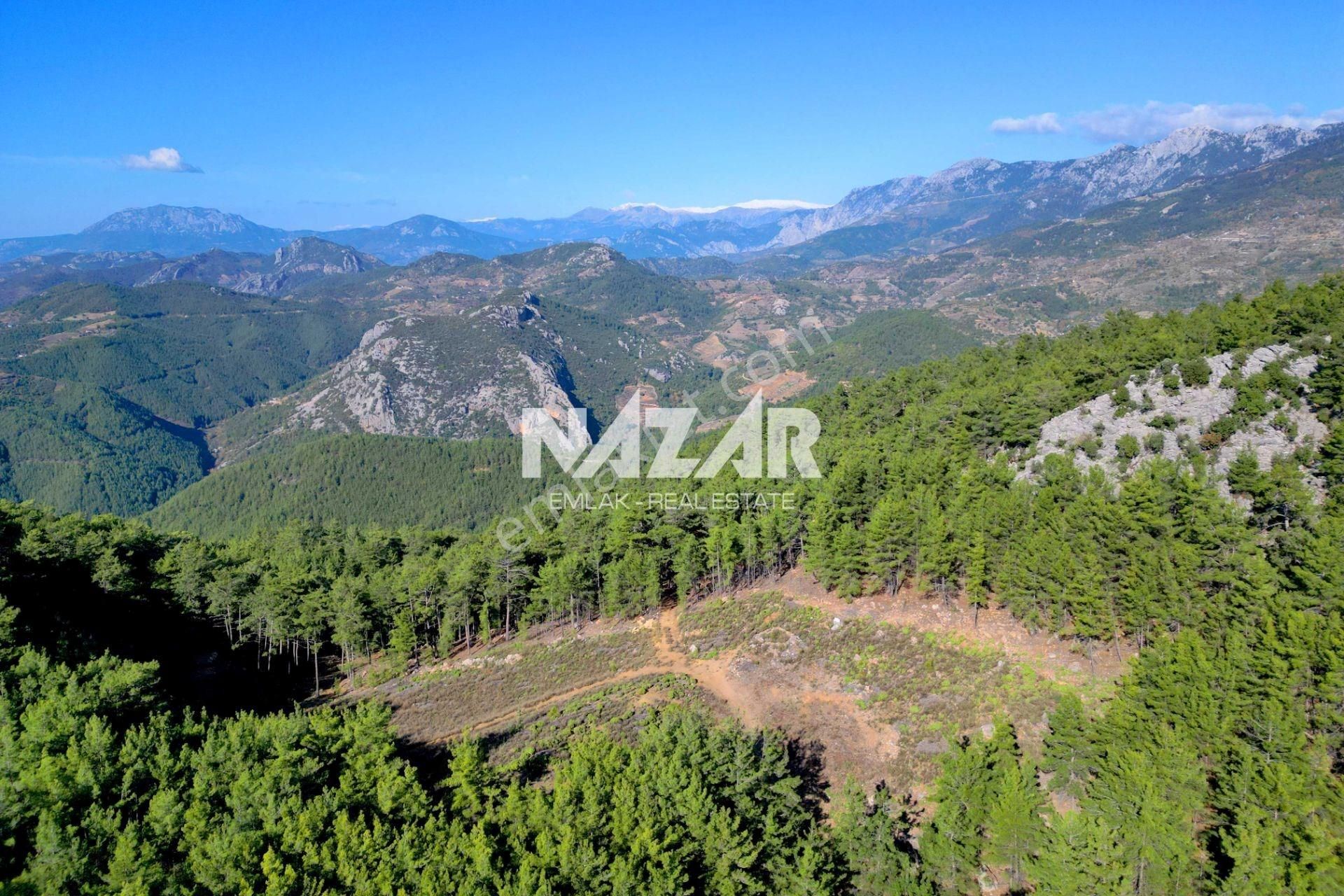 Gazipaşa Ilıca’da Satılık 12.725 M² Deniz Manzaralı Tarla - Görsel 13