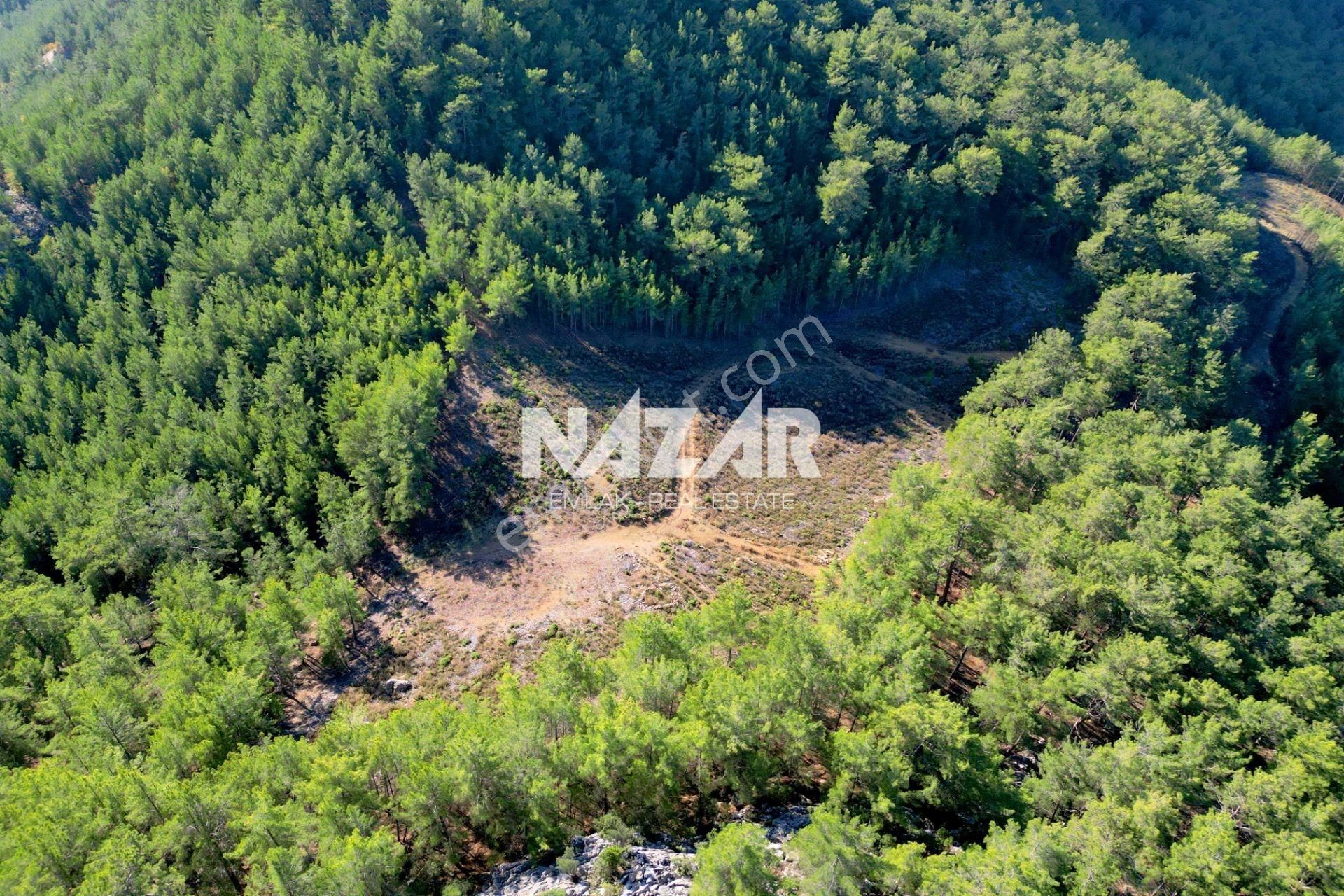 Gazipaşa Ilıca’da Satılık 12.725 M² Deniz Manzaralı Tarla - Görsel 6