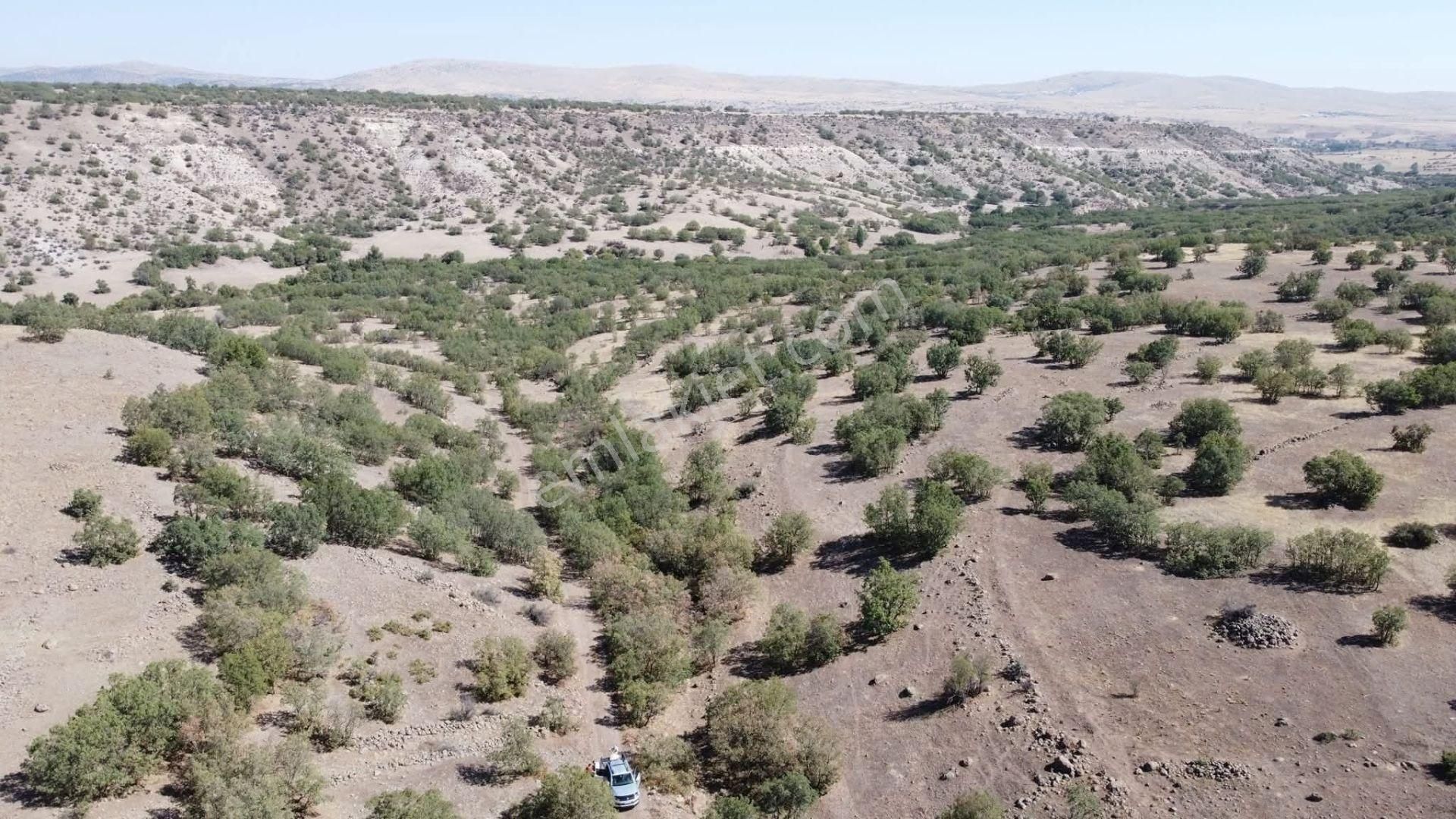 Konya / Meram / Yeşildere Mahallesinde 10.501 M² Müstakil Tapulu Tarla - Görsel 3