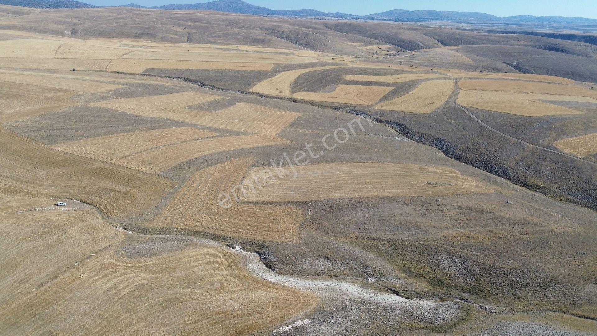 Karaman / Ayrancı / Melikli De 4.500 M² Müstakil Tarla - Görsel 9