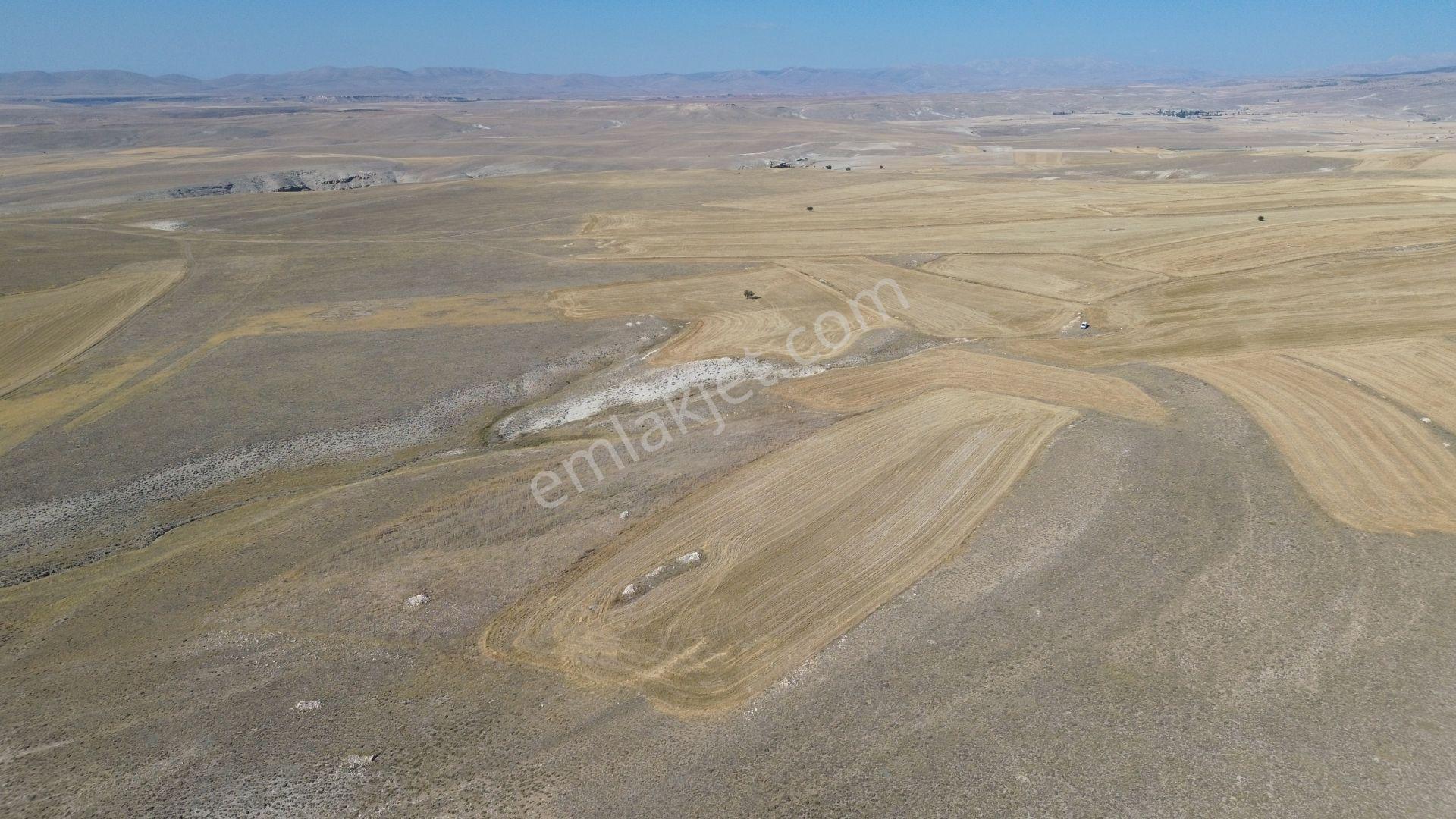 Karaman / Ayrancı / Melikli De 4.500 M² Müstakil Tarla - Görsel 10
