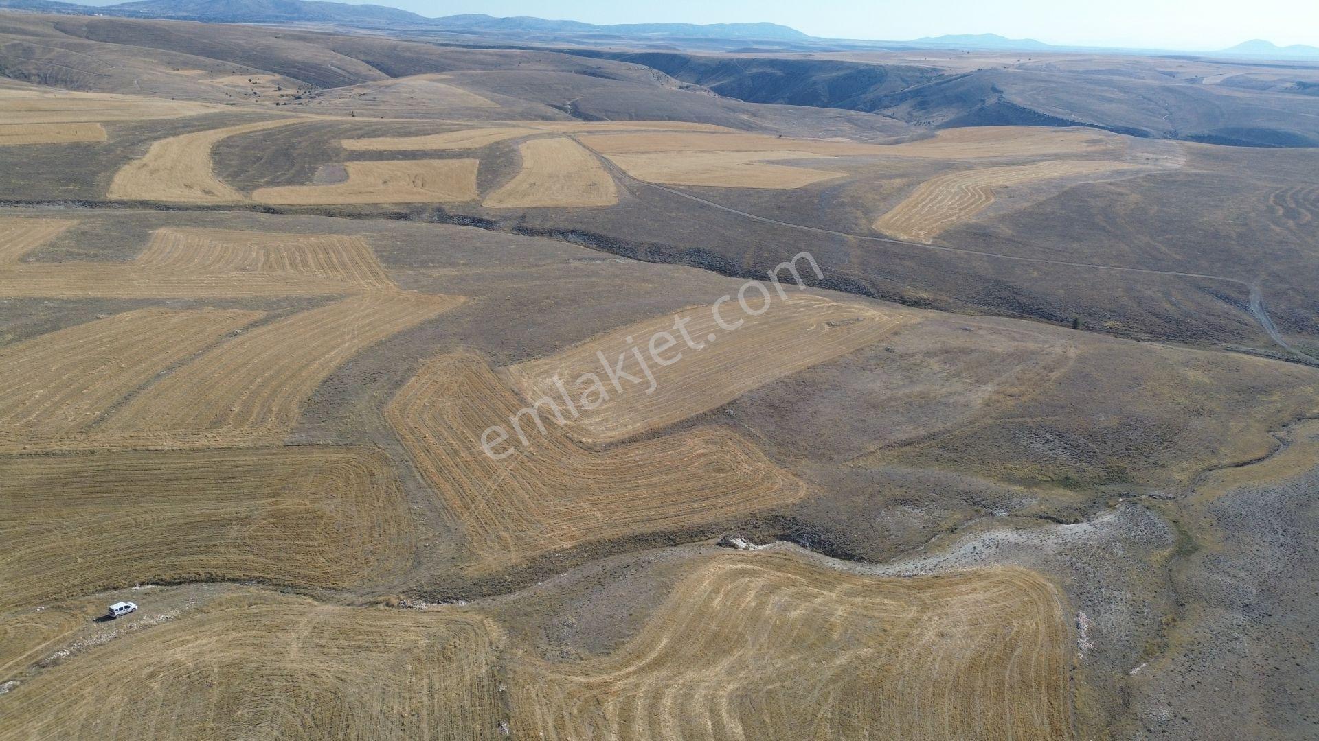 Karaman / Ayrancı / Melikli De 4.500 M² Müstakil Tarla - Görsel 8