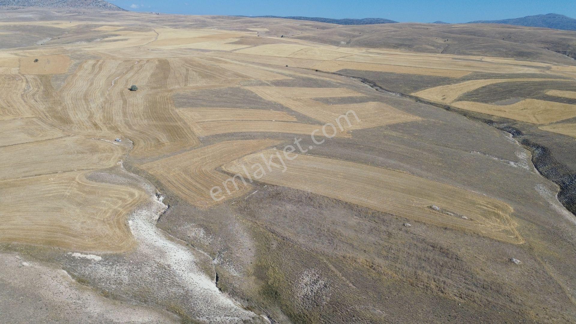 Karaman / Ayrancı / Melikli De 4.500 M² Müstakil Tarla - Görsel 6