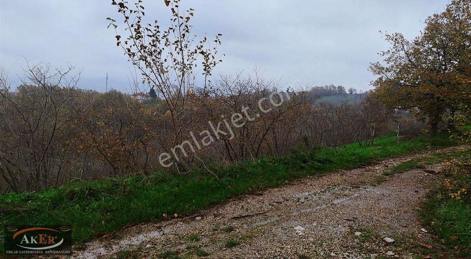 Aker Emlaktan Kuzuluk Topçsırtın Da Arsa - Görsel 2
