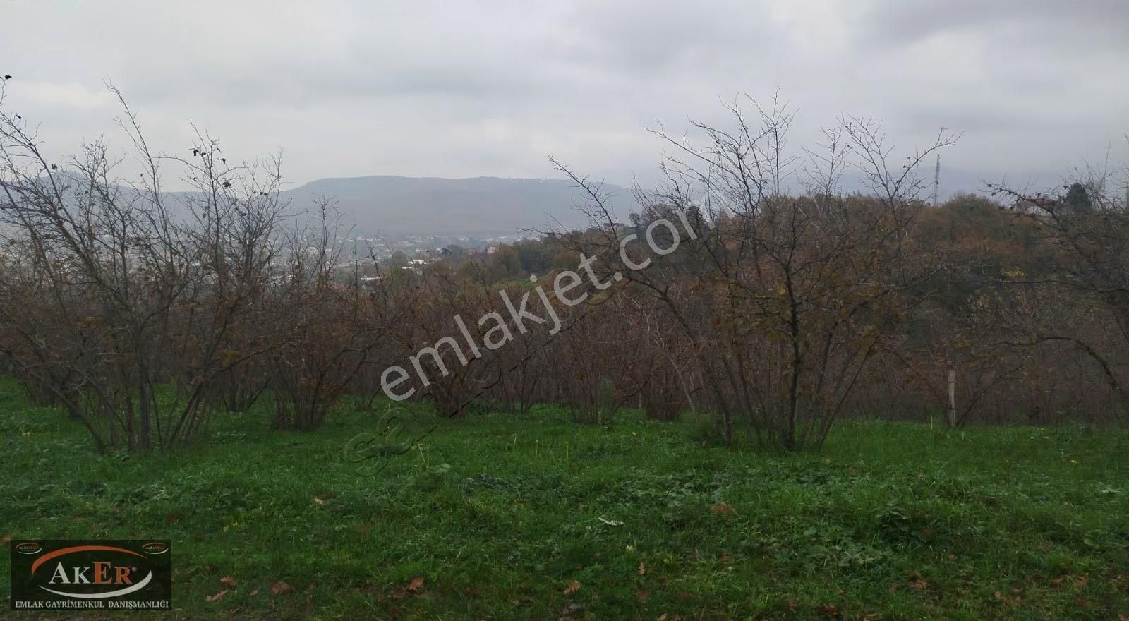 Aker Emlaktan Kuzuluk Topçsırtın Da Arsa - Görsel 3