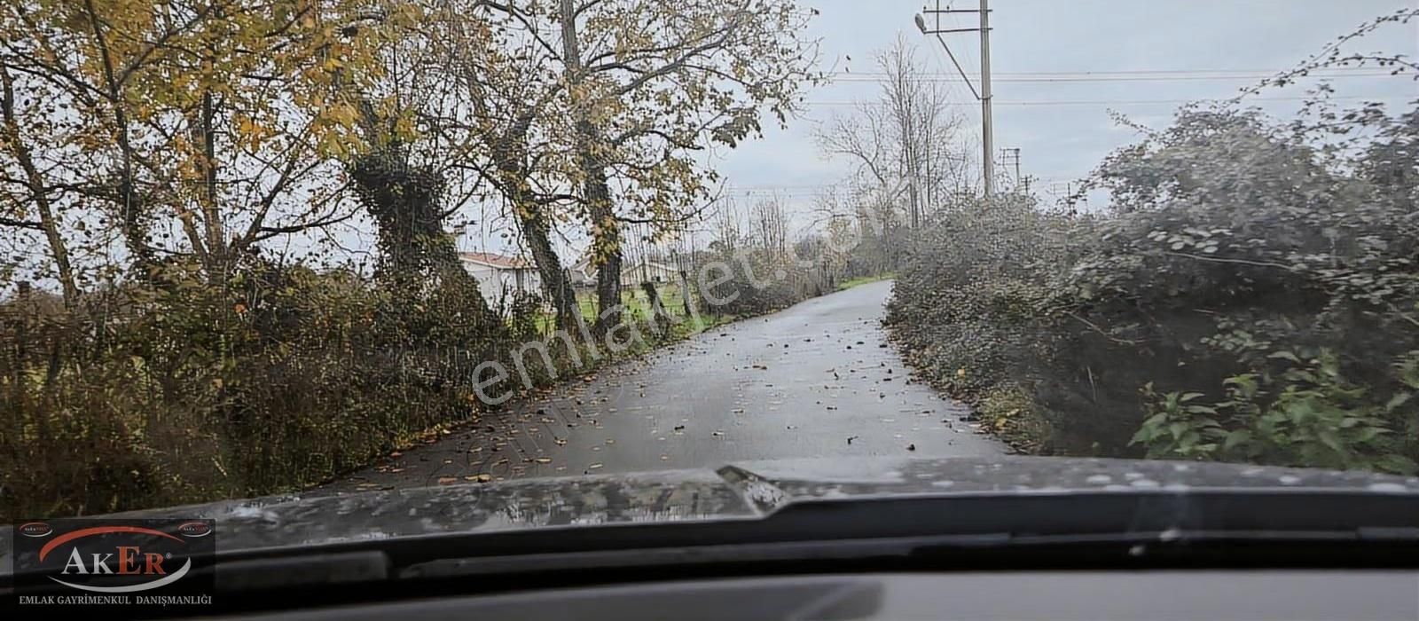 Müstakil İki Tapu Çifliklik Arazi Ful Fındık Düz Ve Yol Su Elekt - Görsel 25