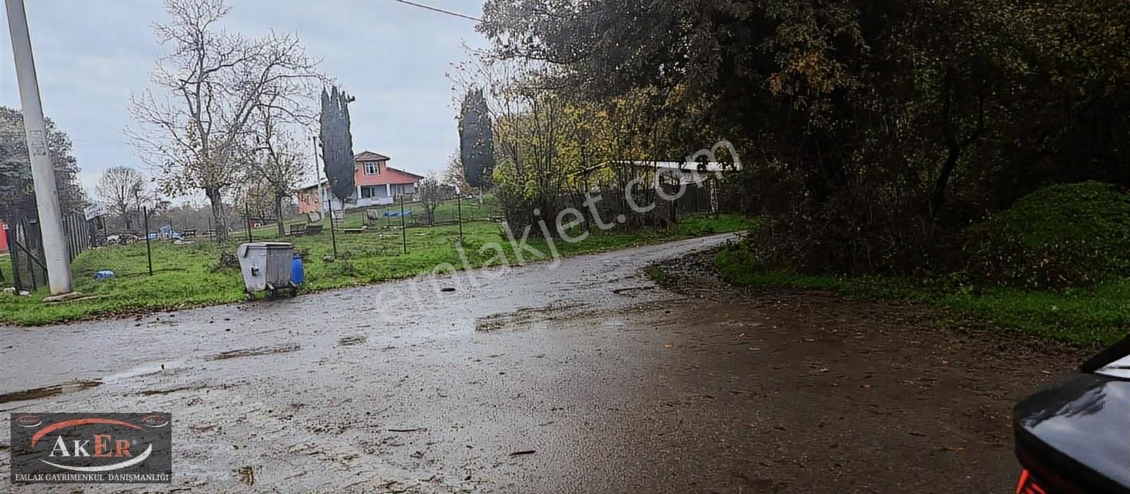 Müstakil İki Tapu Çifliklik Arazi Ful Fındık Düz Ve Yol Su Elekt - Görsel 23