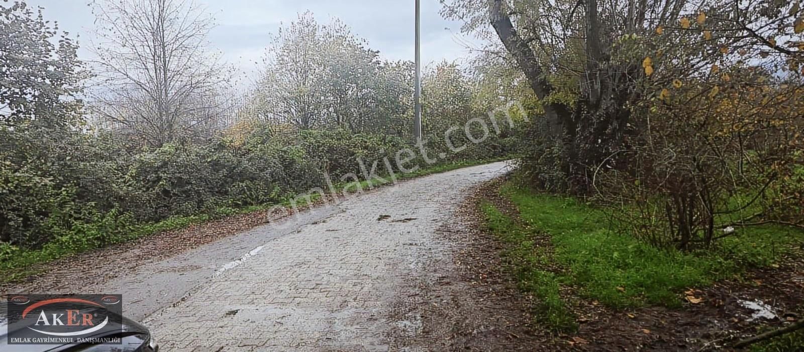 Müstakil İki Tapu Çifliklik Arazi Ful Fındık Düz Ve Yol Su Elekt - Görsel 30