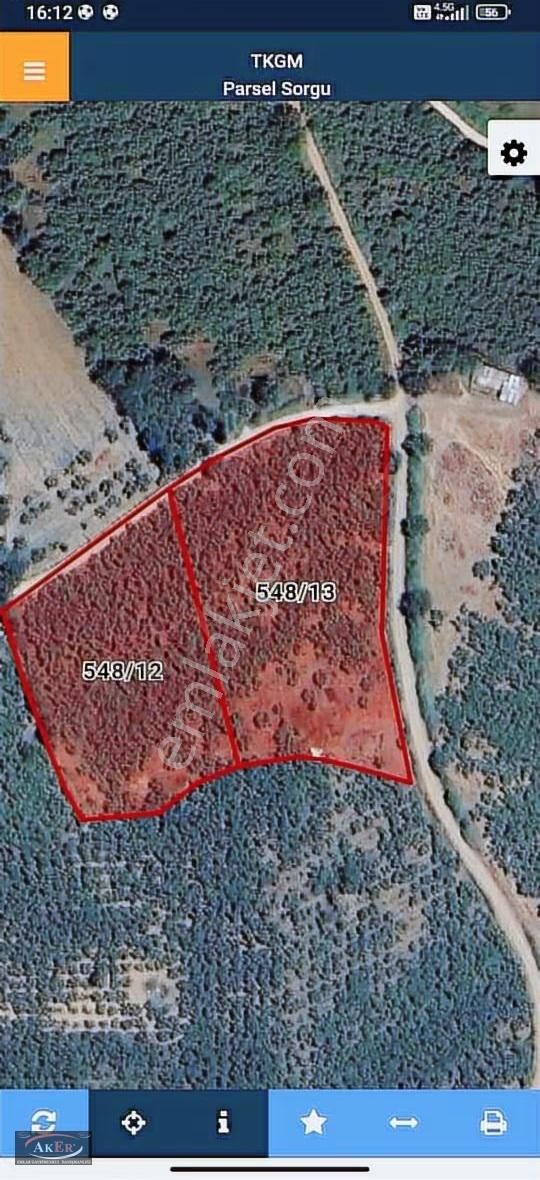 Müstakil İki Tapu Çifliklik Arazi Ful Fındık Düz Ve Yol Su Elekt
