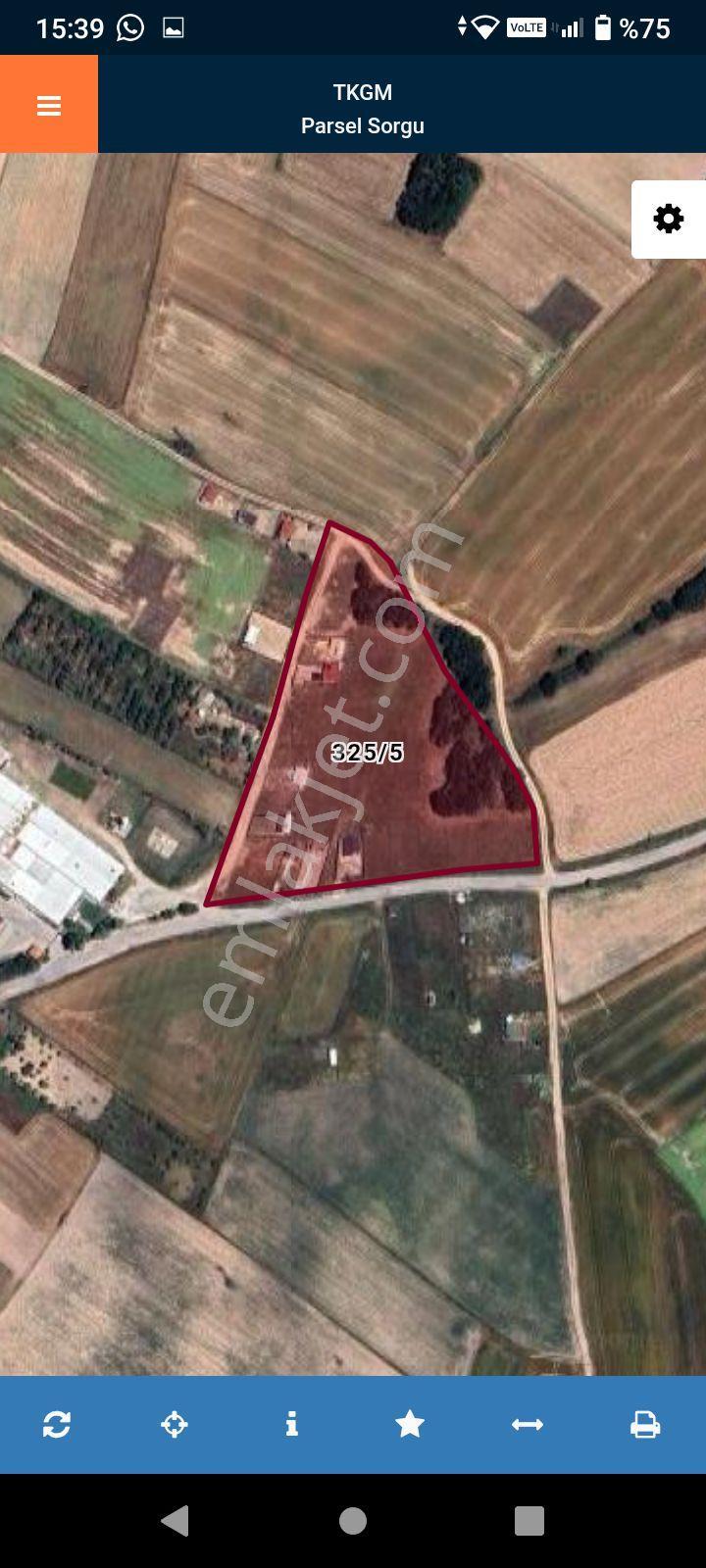 Tekirdağ Saray Ayazpaşa Ada - Görsel 2