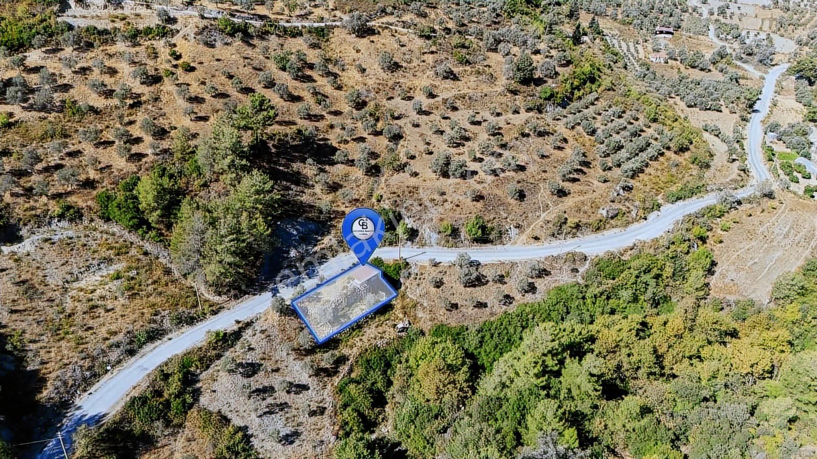 Cb Marina'dan Zeytinköy'de Hobi Bahçesi Satılık "zeytinlik"