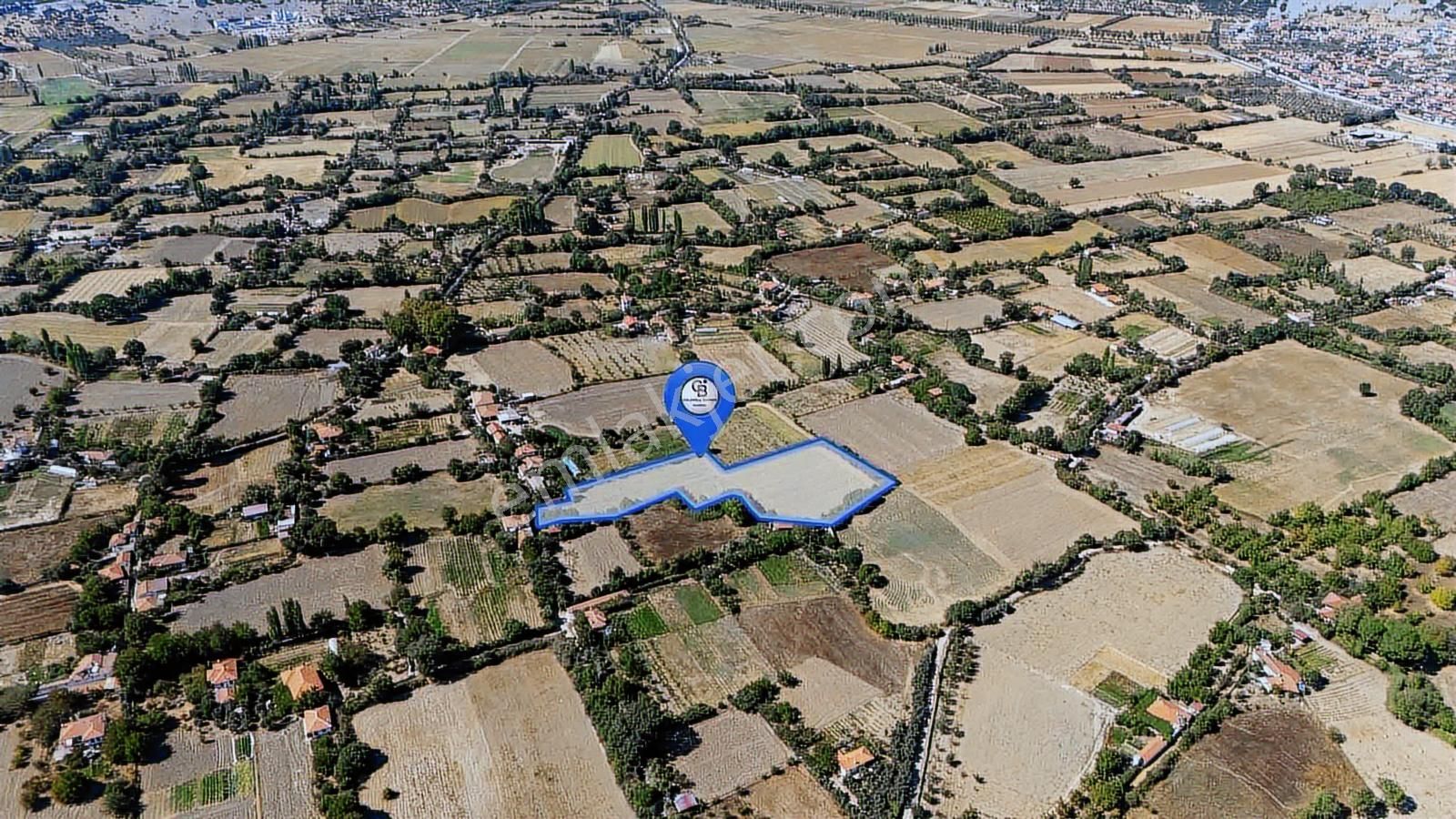 investment listing 17