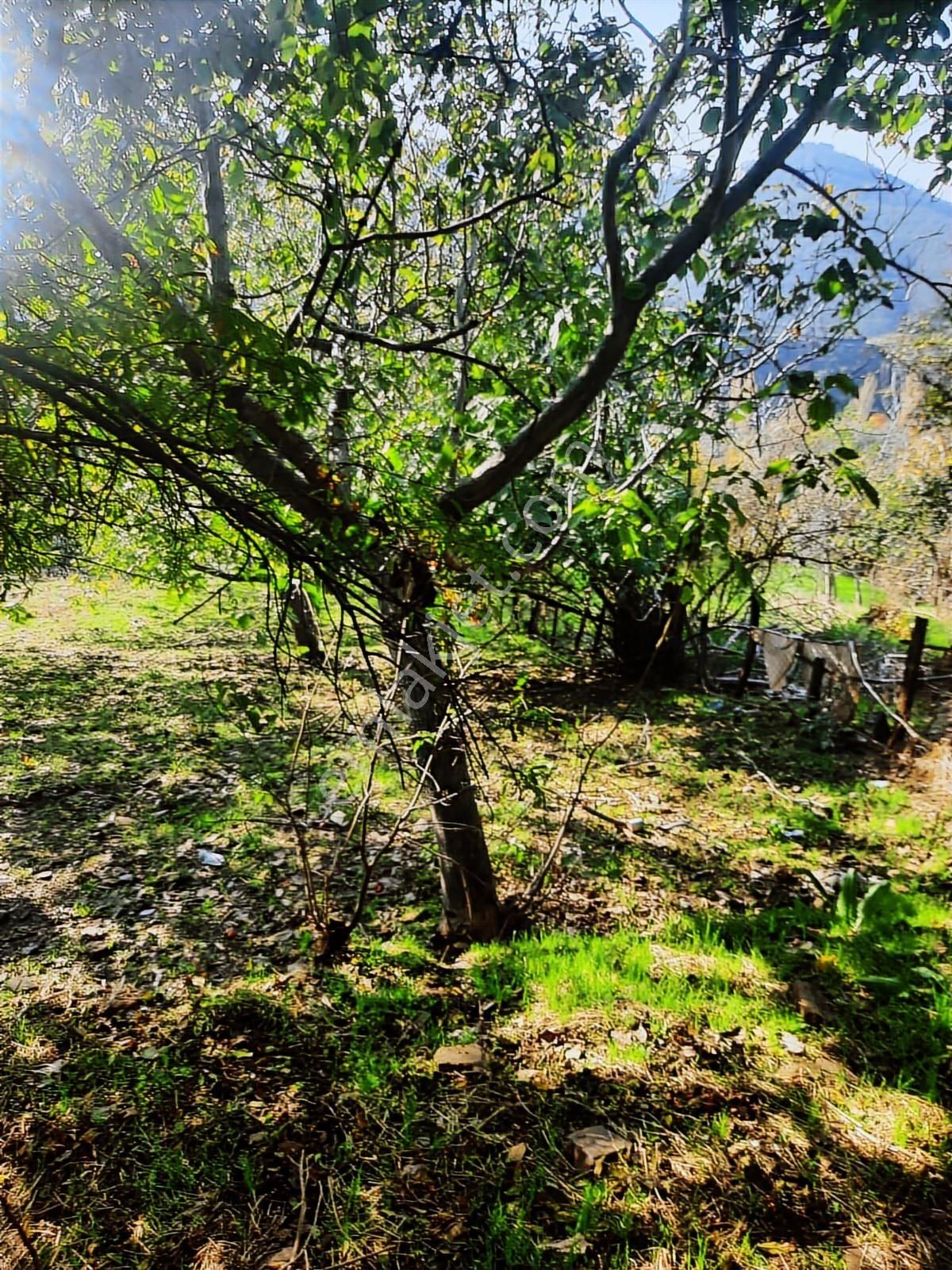 Bayındır Sarıyurtta 2 Kat 250m2 İnşaat İmarlı 678 M2 Arazi - Görsel 4