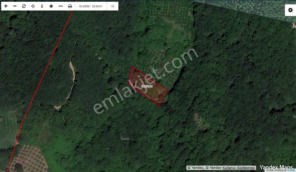 Kandıra Tatarahmet’te Ormanın Kalbinde 1.690 M² Doğa Harikası - Görsel 6