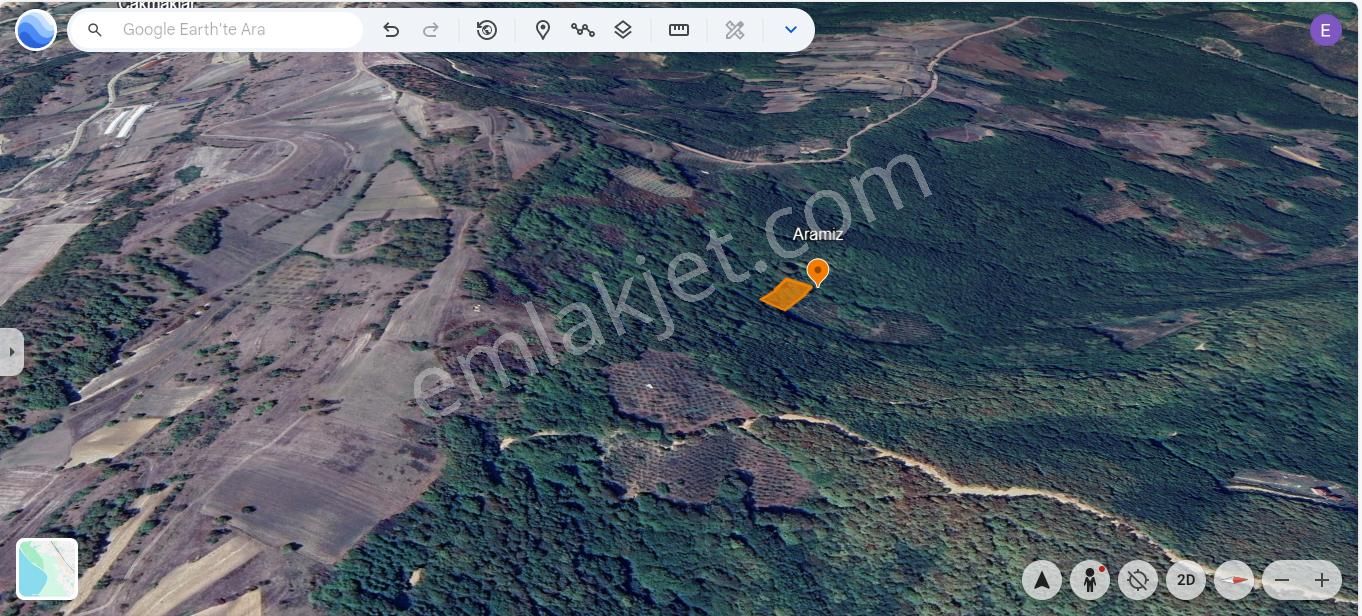 Kandıra Tatarahmet’te Ormanın Kalbinde 1.690 M² Doğa Harikası - Görsel 2