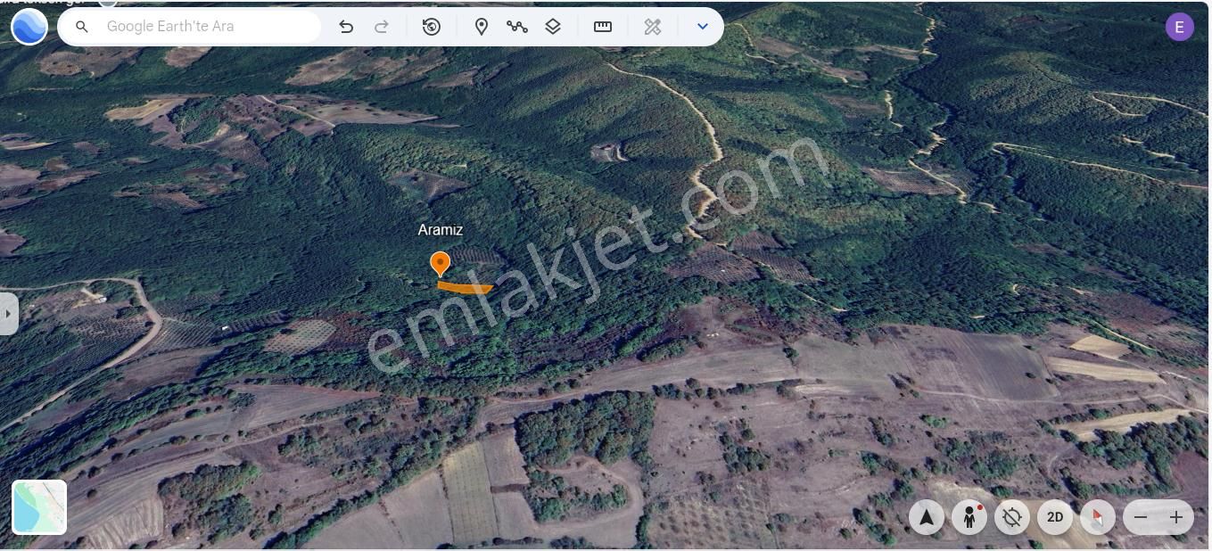 Kandıra Tatarahmet’te Ormanın Kalbinde 1.690 M² Doğa Harikası - Görsel 9