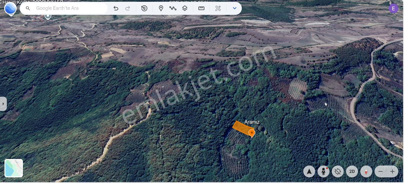 Kandıra Tatarahmet’te Ormanın Kalbinde 1.690 M² Doğa Harikası - Görsel 5