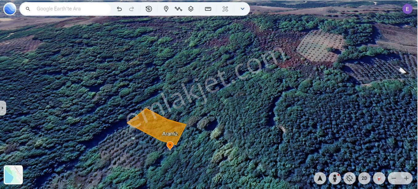 Kandıra Tatarahmet’te Ormanın Kalbinde 1.690 M² Doğa Harikası - Görsel 8